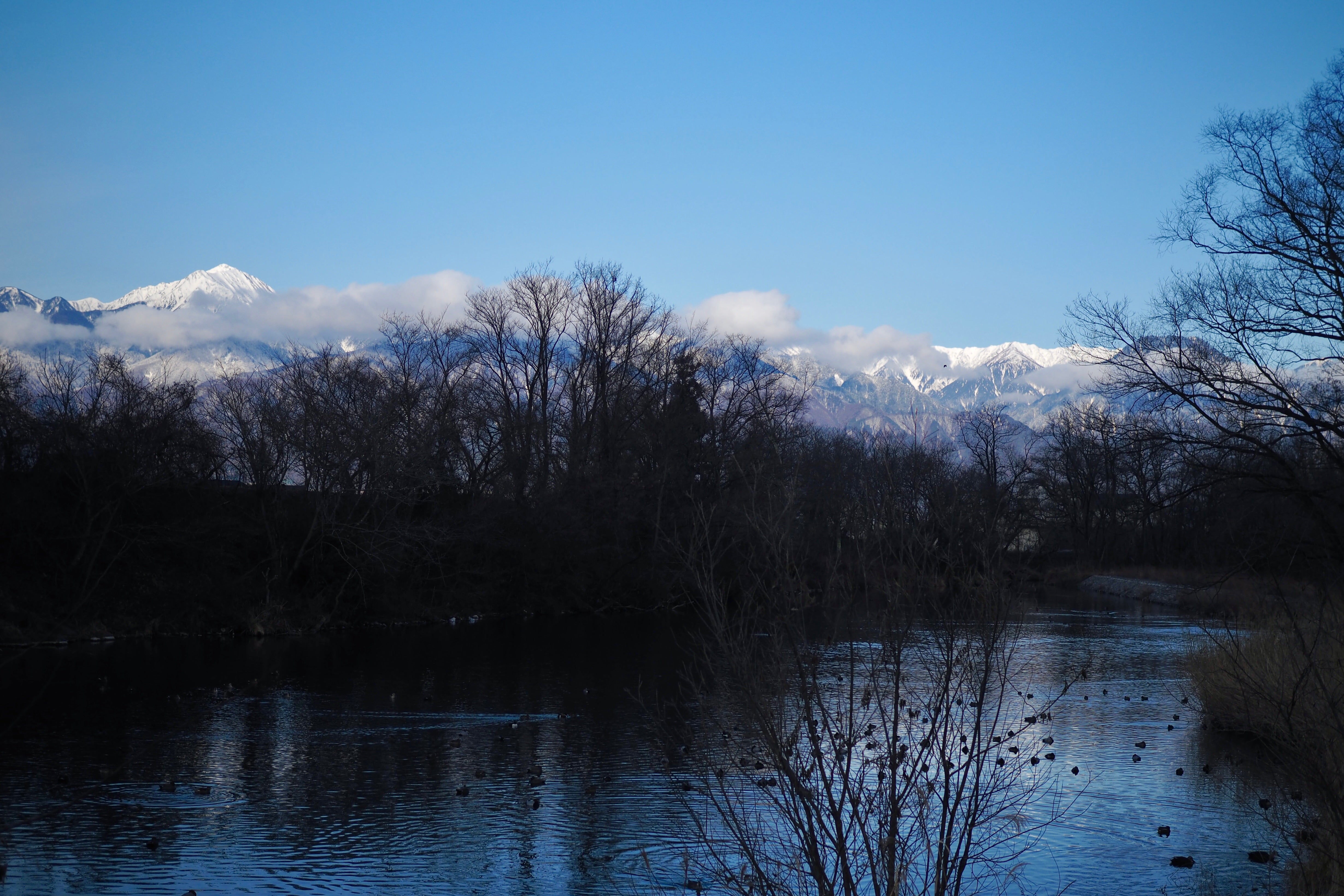 Equinox Treats | 2026 Spring (3/20-22)