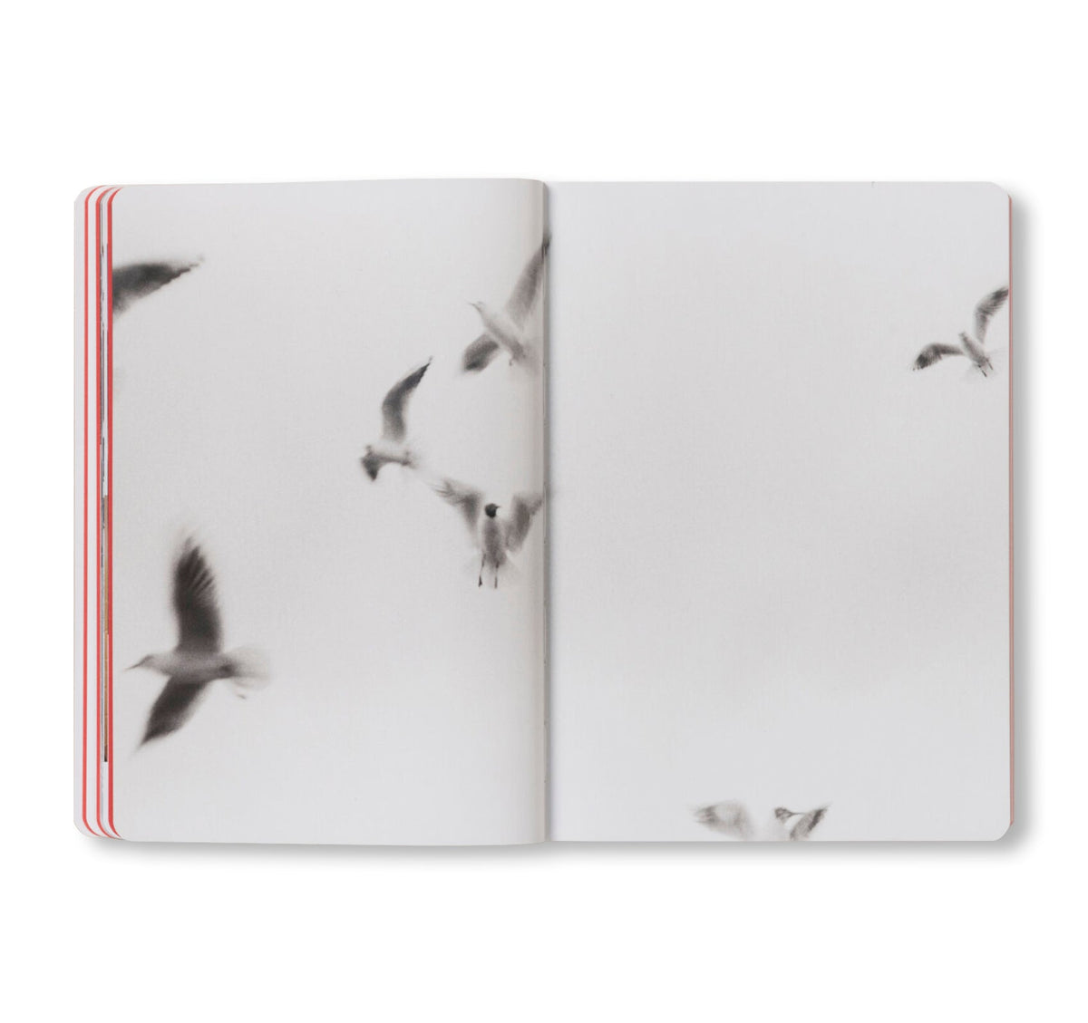 Cécile Poimboeuf-Koizumi - THE ARTIST’S ATLAS: TOKYO