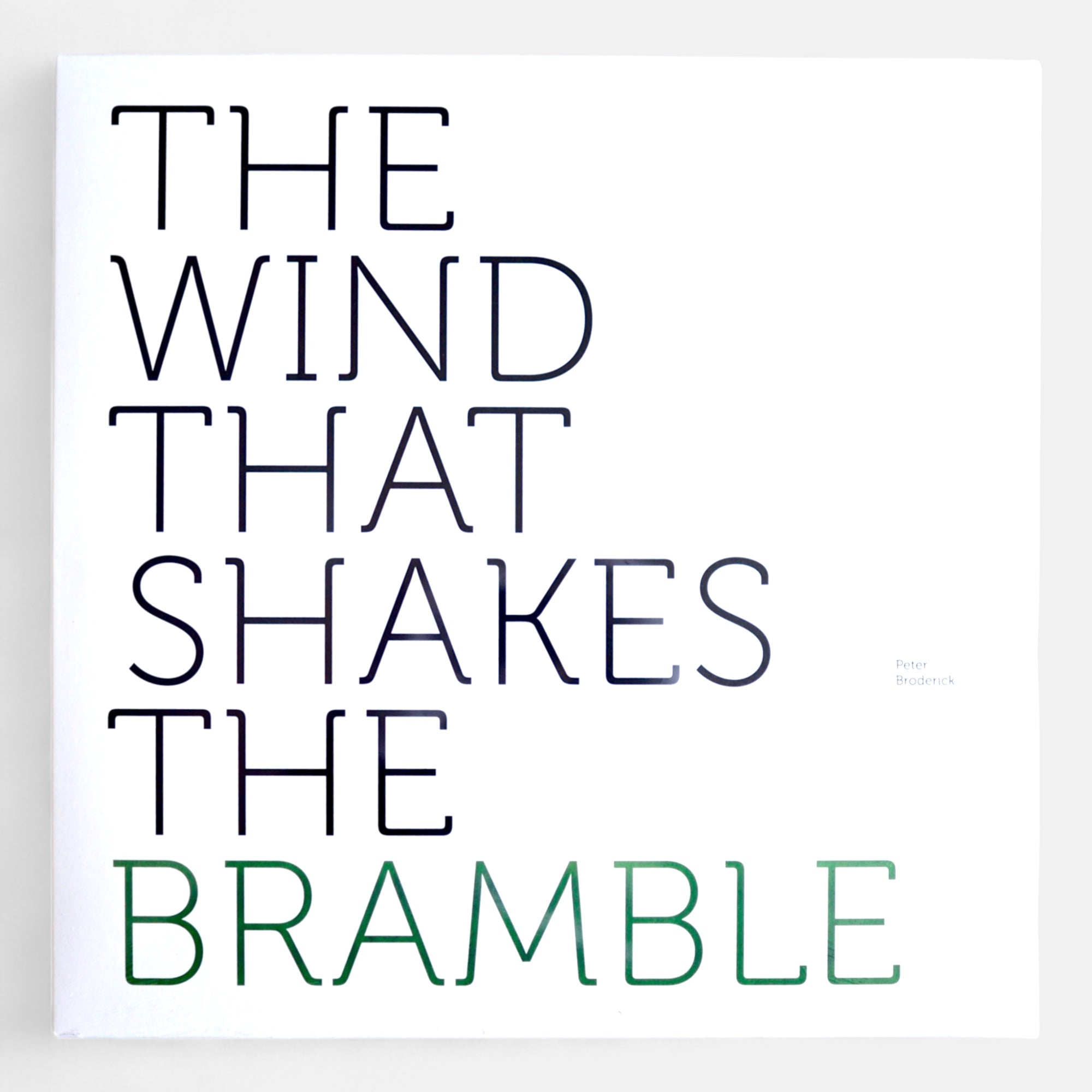 Peter Broderick - The Wind That Shakes the Bramble 表ジャケット