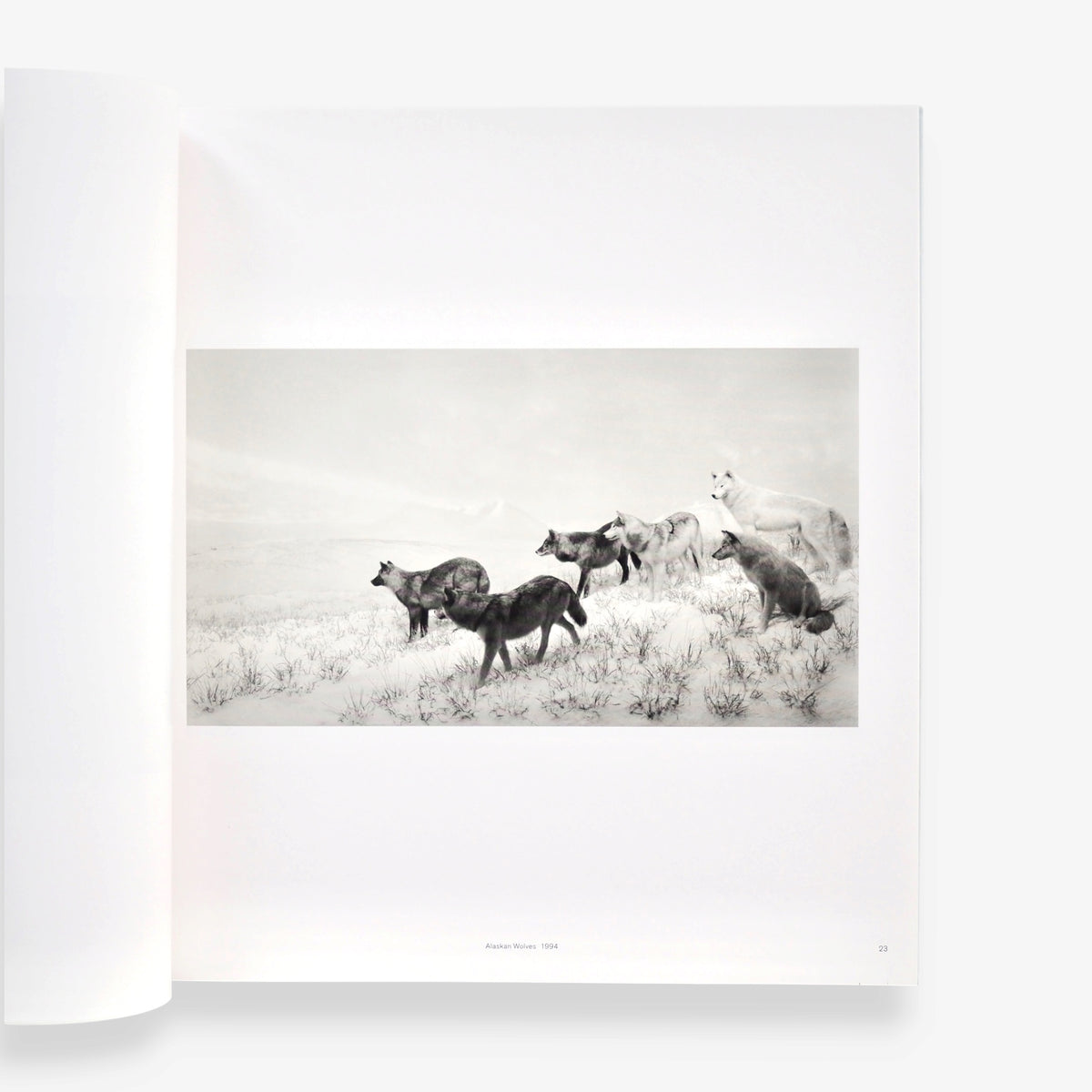 Hiroshi Sugimoto - TIME MACHINE