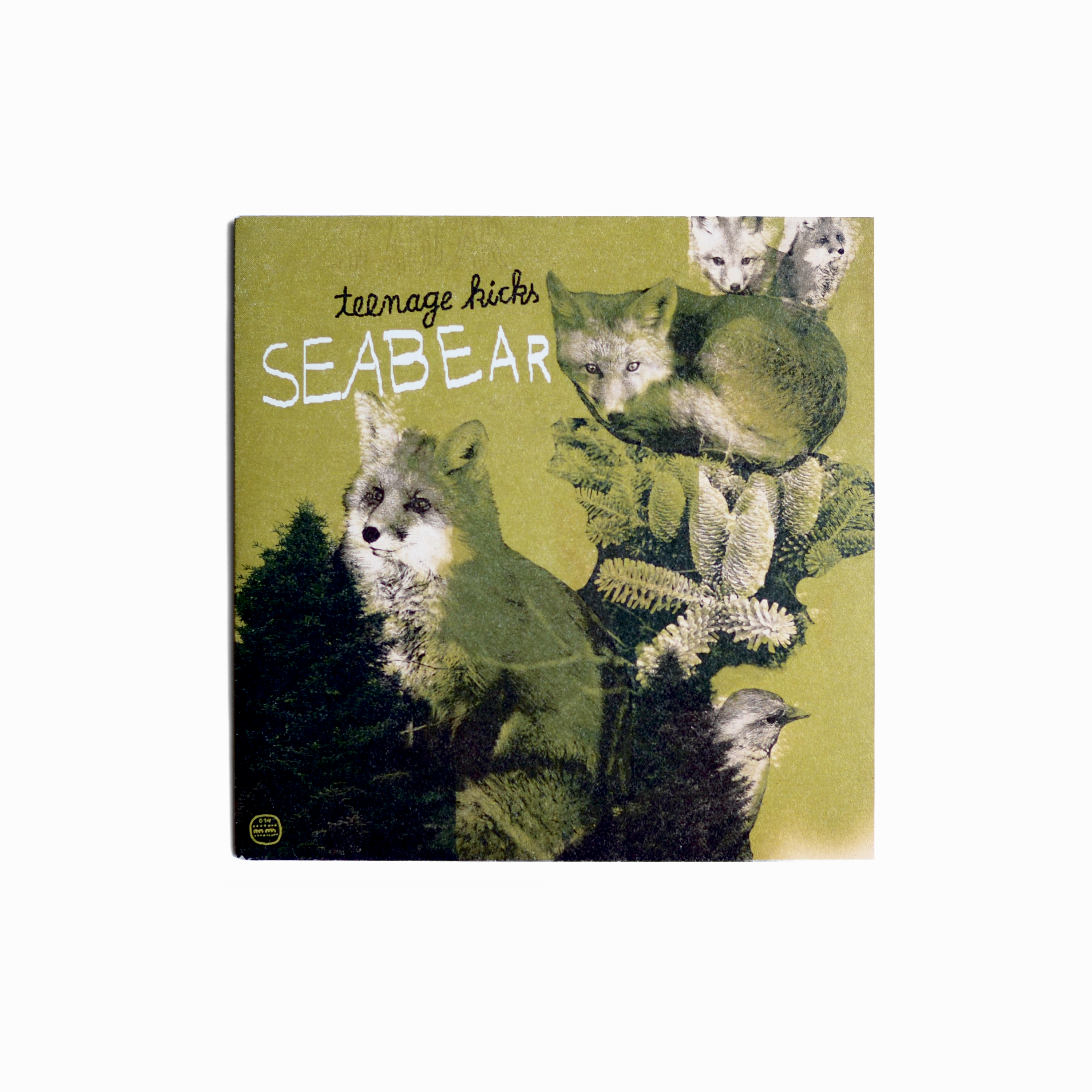 SEABEAR - chaussures pour adolescents (utilisées)