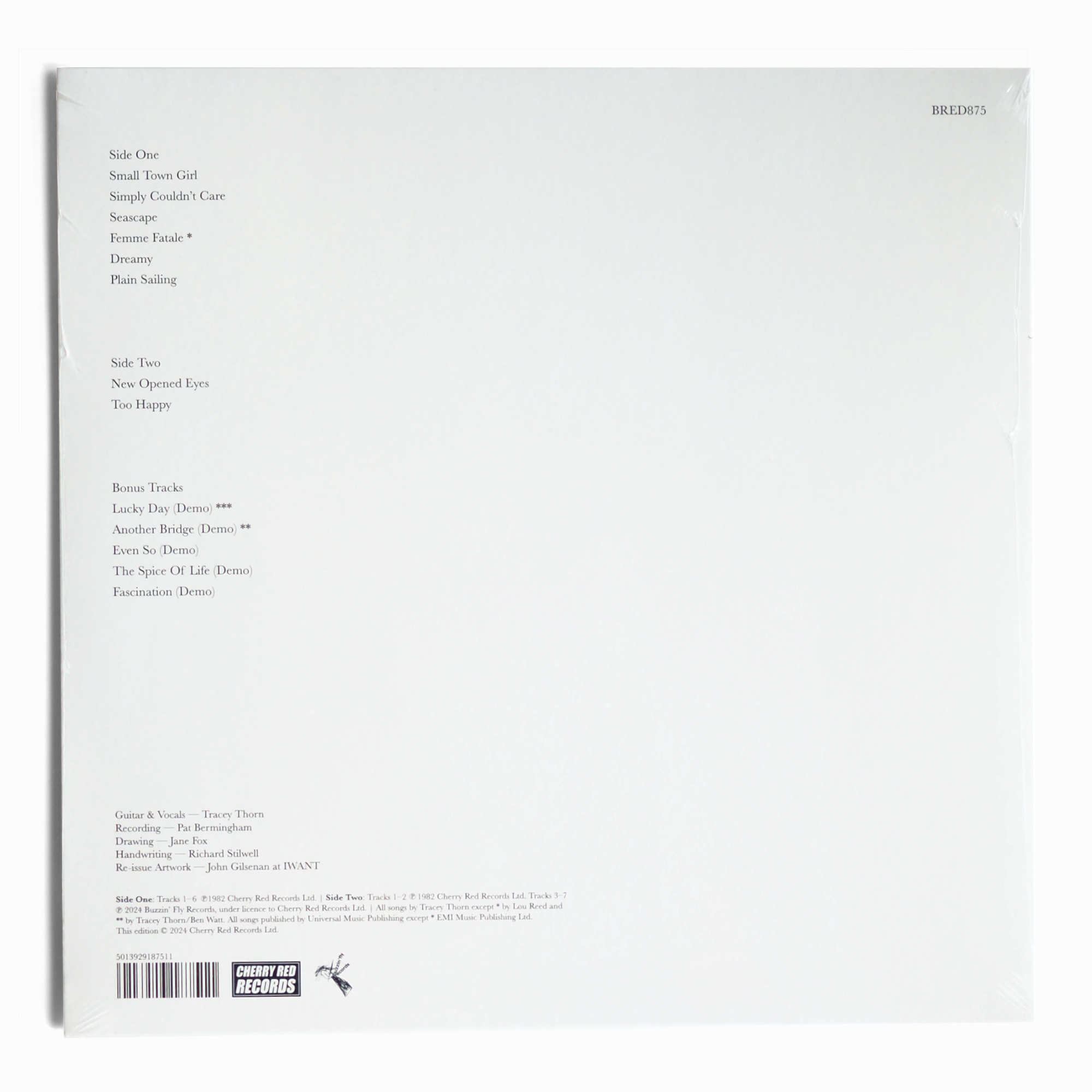 TRACEY THORN - A Distant Shore (LP version étendue, 2024)
