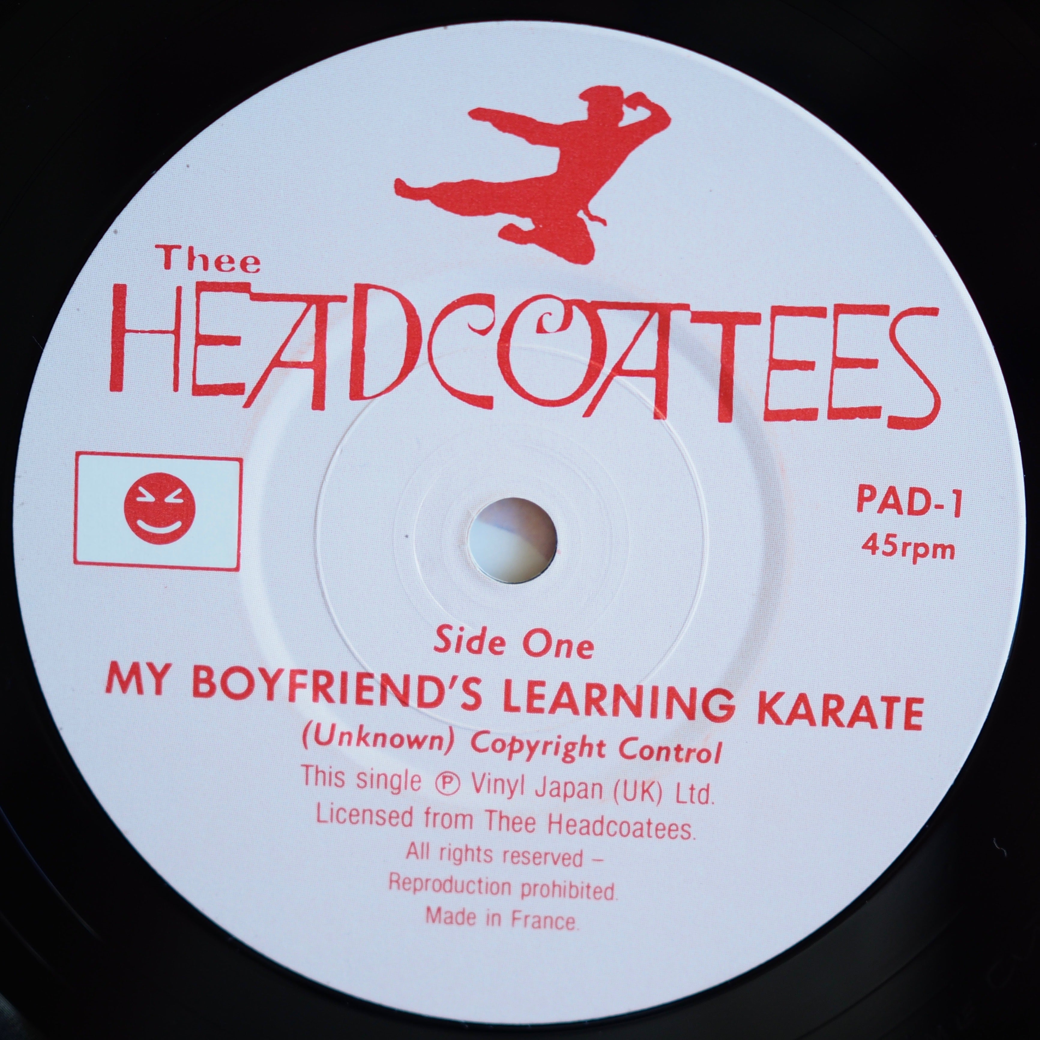 Thee HEADCOATEES - Mes copains apprennent le karaté (utilisé)