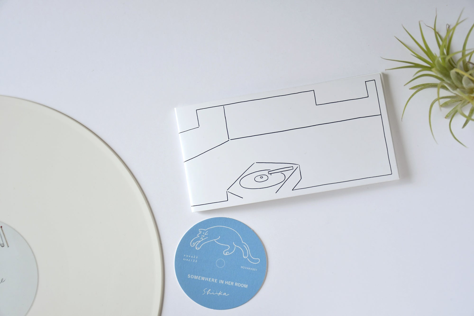 ［WALLFLOWER CATALOGUE］FILE 004.  shiika “SOMEWHERE IN HER ROOM”