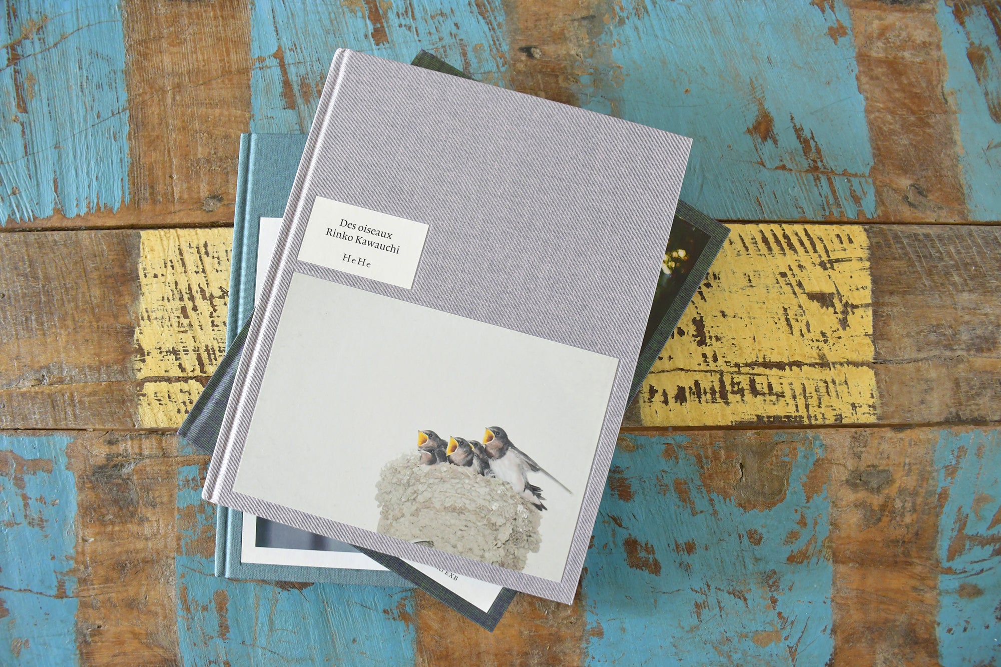 ［WALLFLOWER CATALOGUE］FILE 006.  Rinko Kawauchi  “Des oiseaux （On birds）”