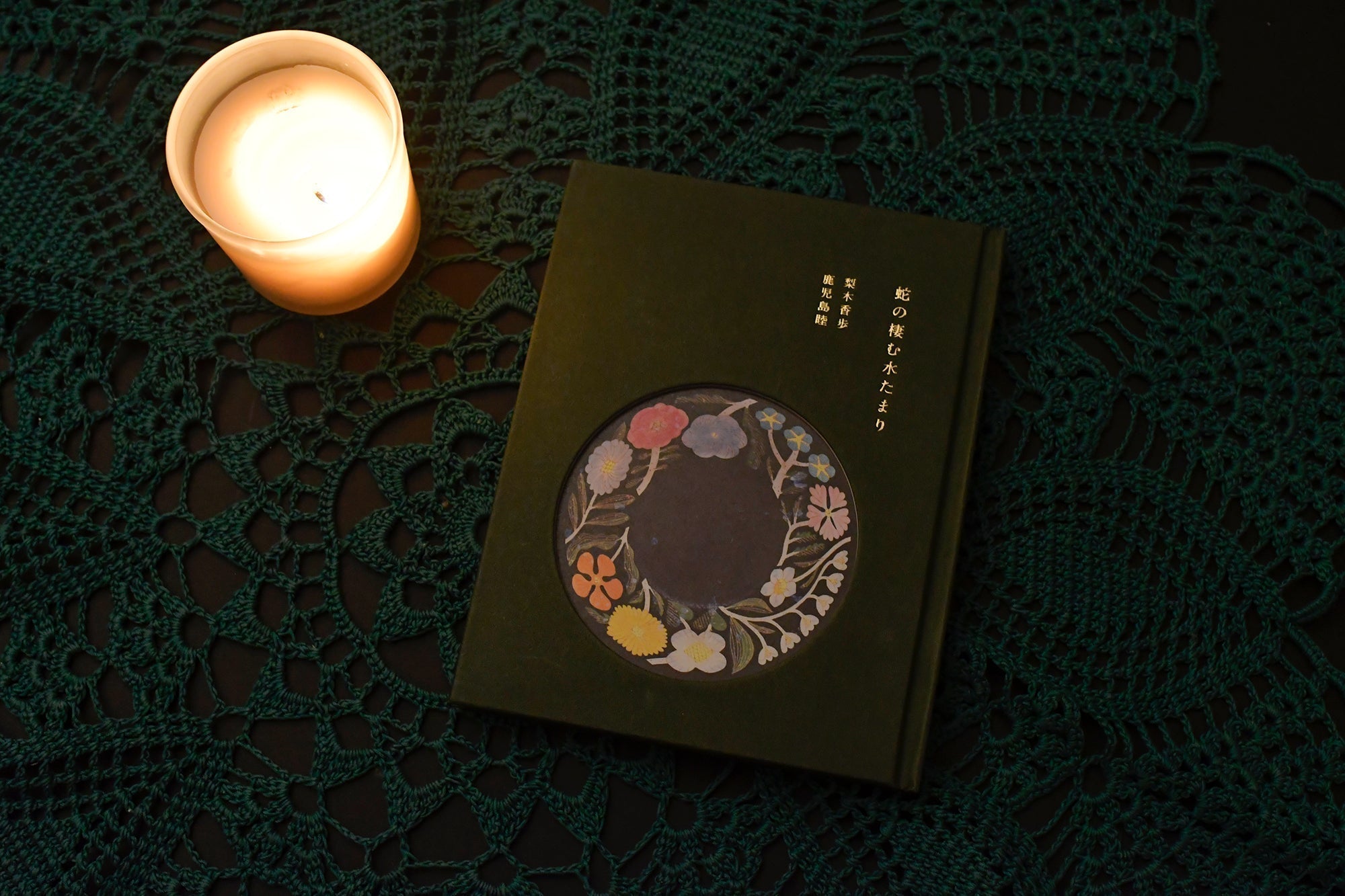 [WALLFLOWER CATALOGUE] FILE 027. 梨木香歩/鹿児島陸 - 蛇の棲む水たまり