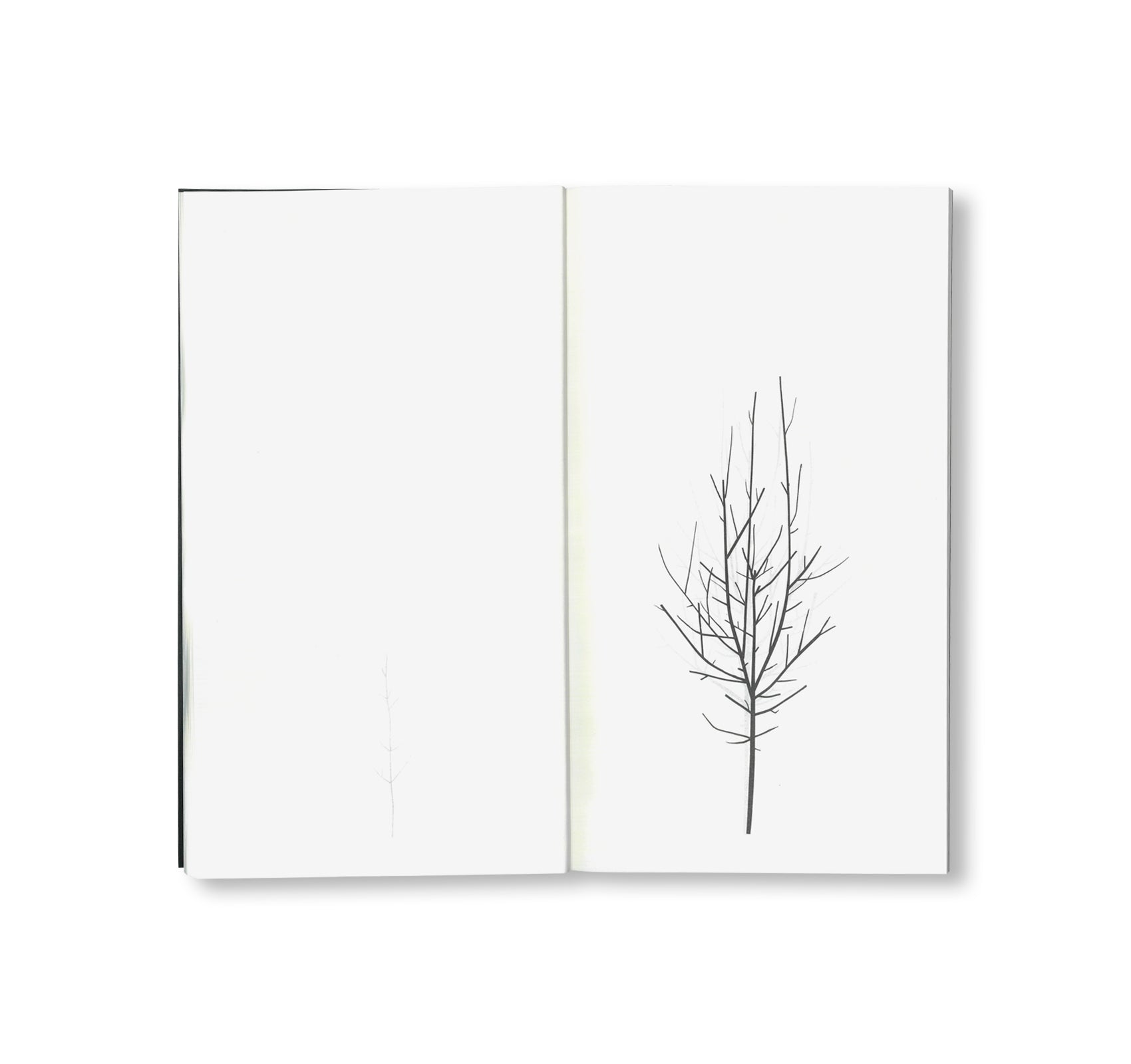 Peter Liversidge -  WINTER DRAWINGS [NEW]