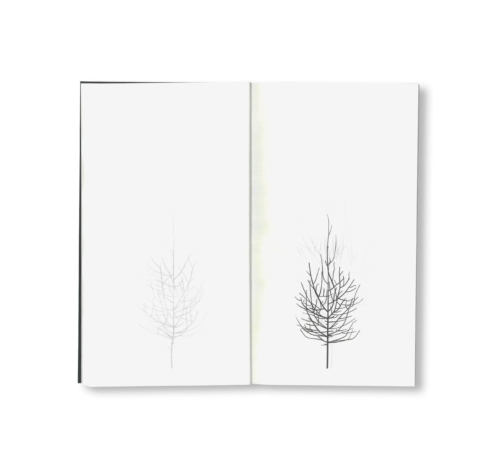 Peter Liversidge -  WINTER DRAWINGS [NEW]