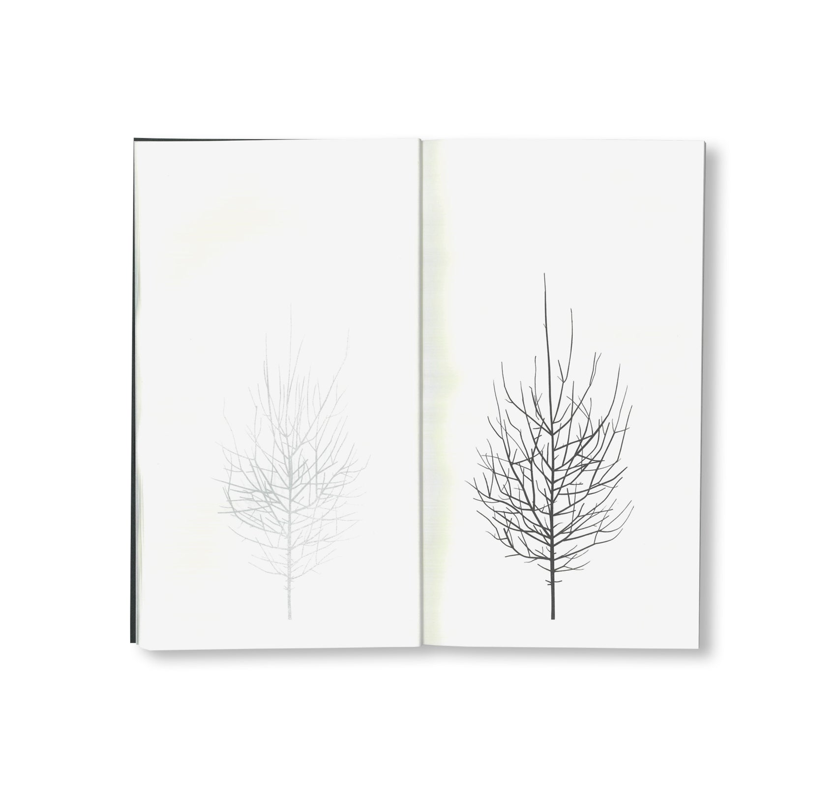 Peter Liversidge -  WINTER DRAWINGS [NEW]