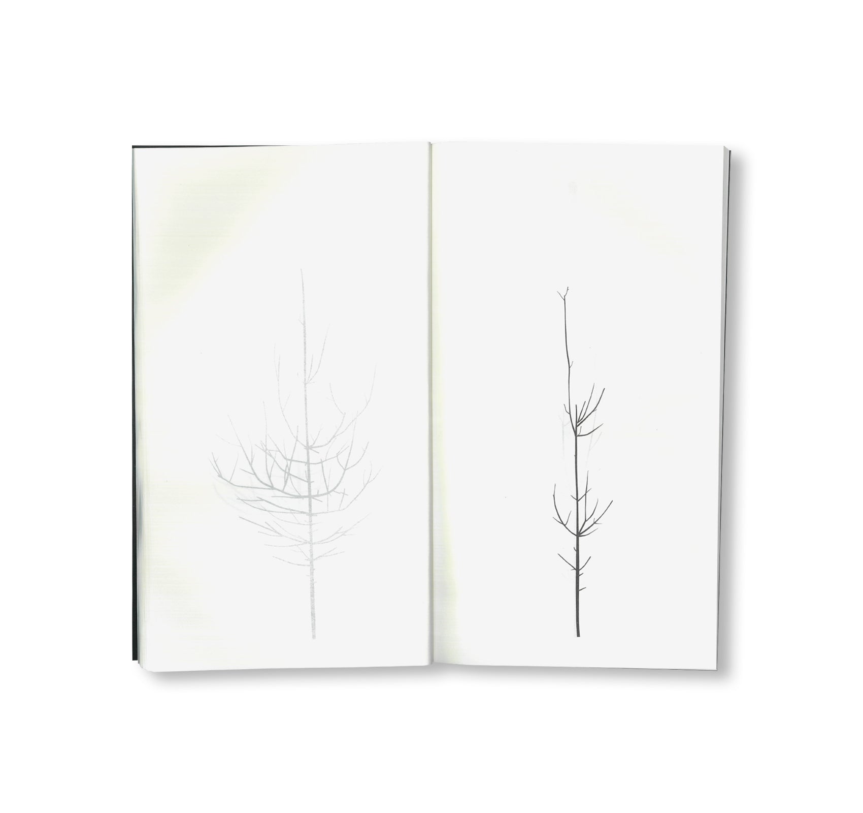 Peter Liversidge -  WINTER DRAWINGS [NEW]