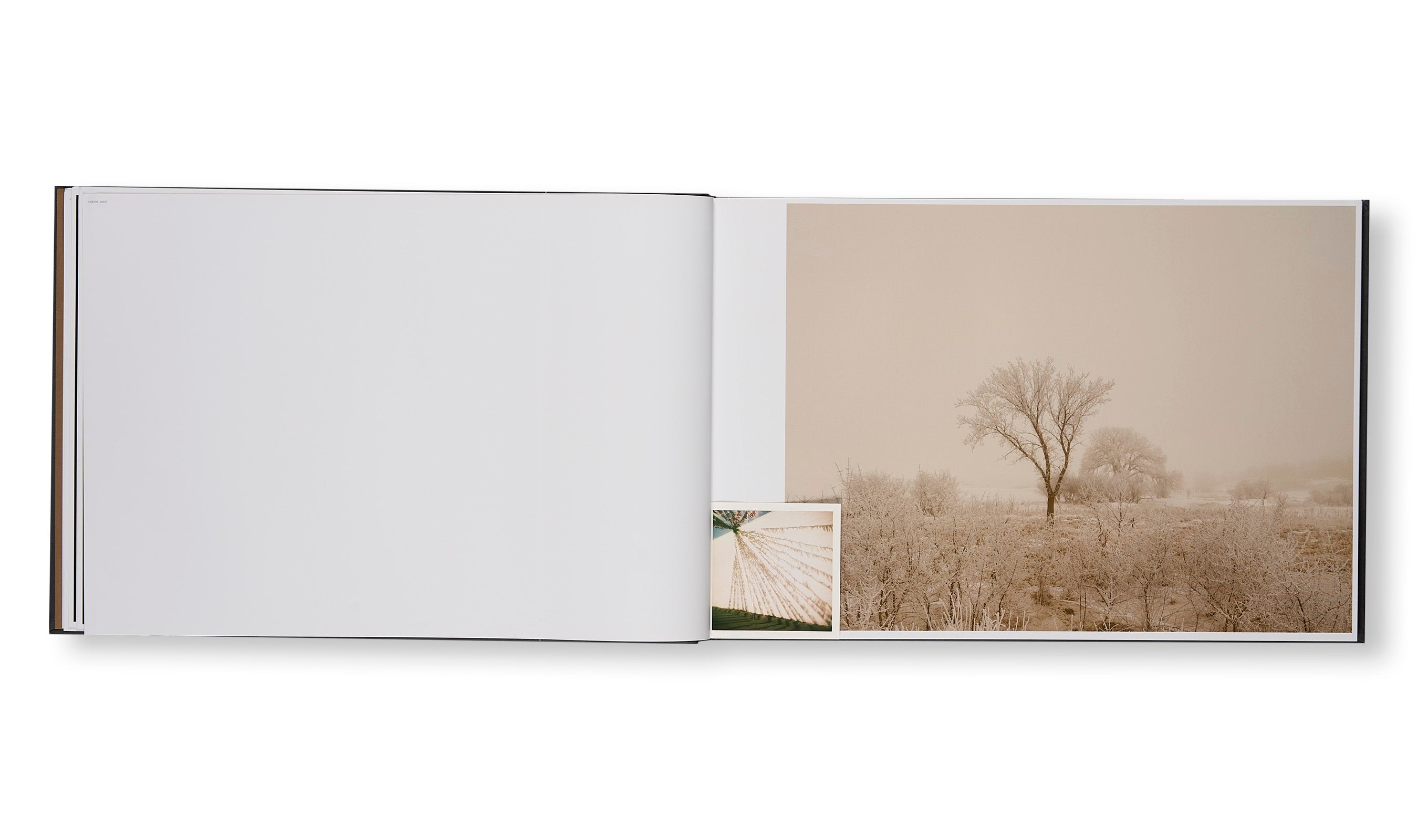 Todd Hido - THE END SENDS ADVANCE WARNING [NEW]