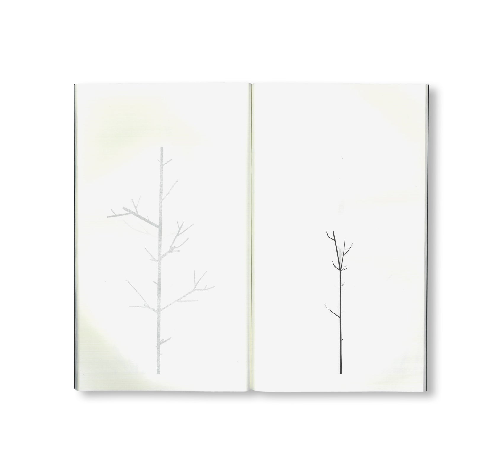 Peter Liversidge -  WINTER DRAWINGS [NEW]