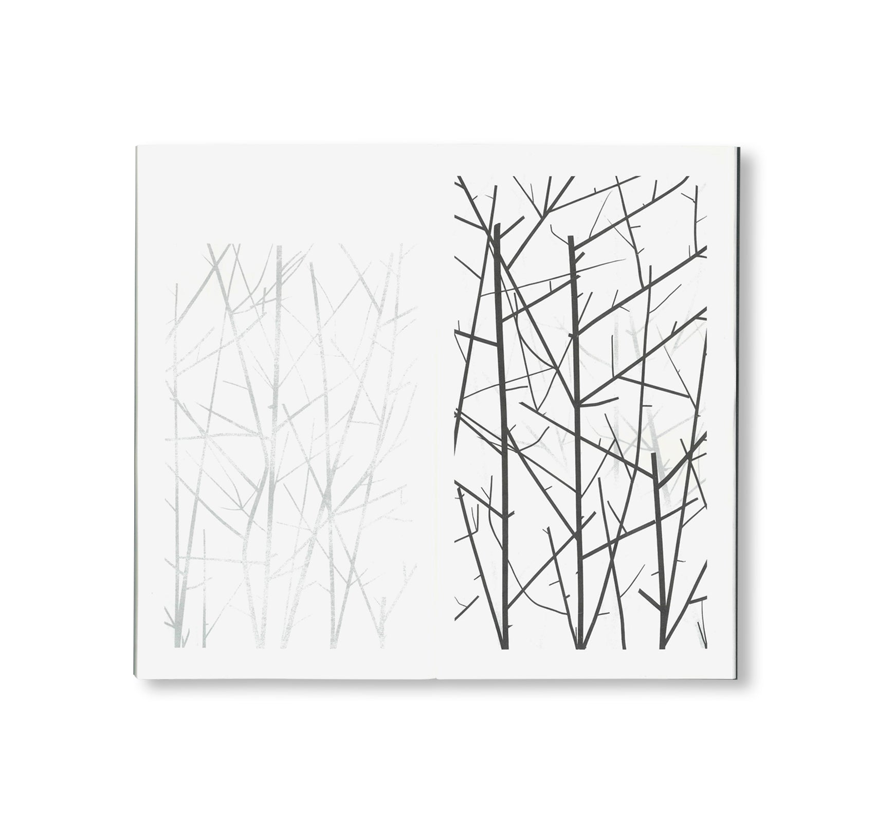 Peter Liversidge -  WINTER DRAWINGS [NEW]