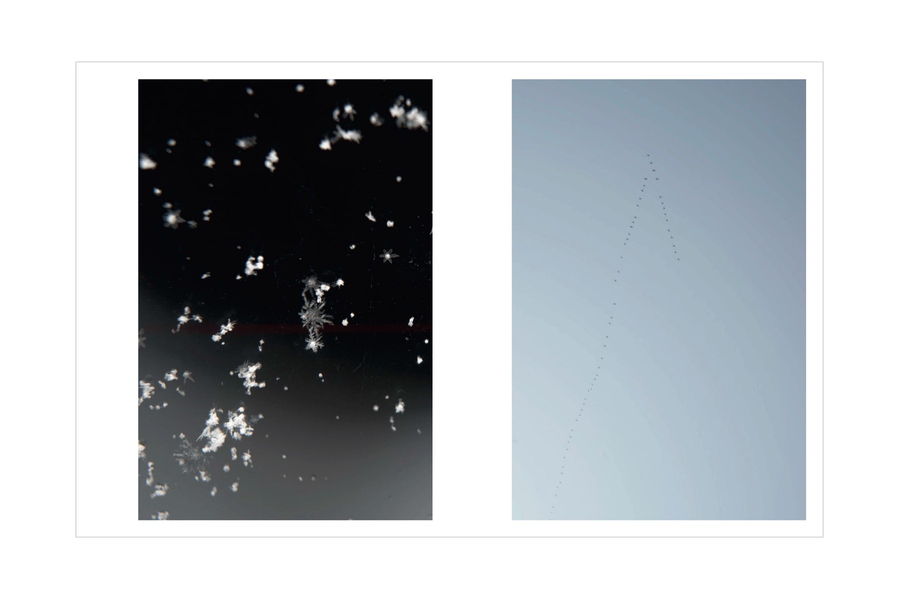 川内倫子 M/E M/E – torch press