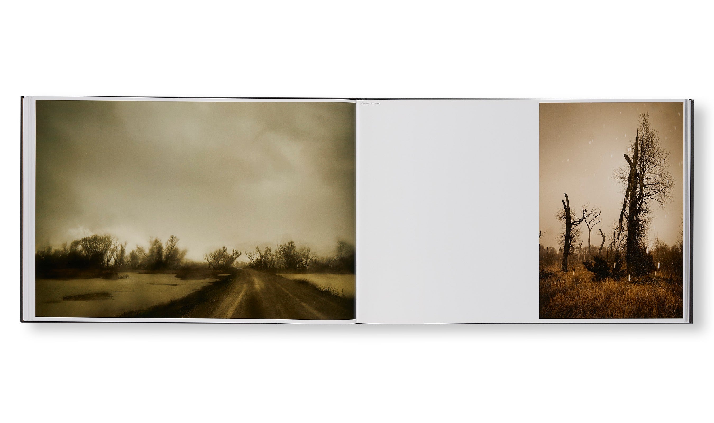 Todd Hido - THE END SENDS ADVANCE WARNING [NEW]