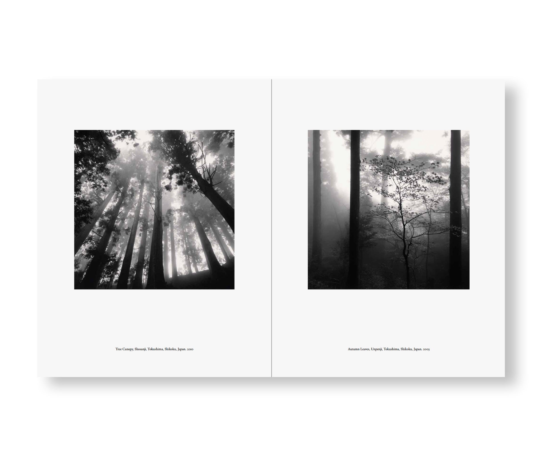 Michael Kenna - JAPAN | A LOVE STORY [NEW］