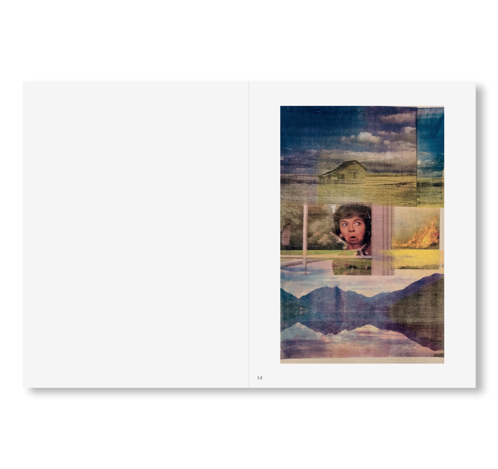 Gus Van Sant - PAINTINGS [BLUE MOON PRESS, 2026]