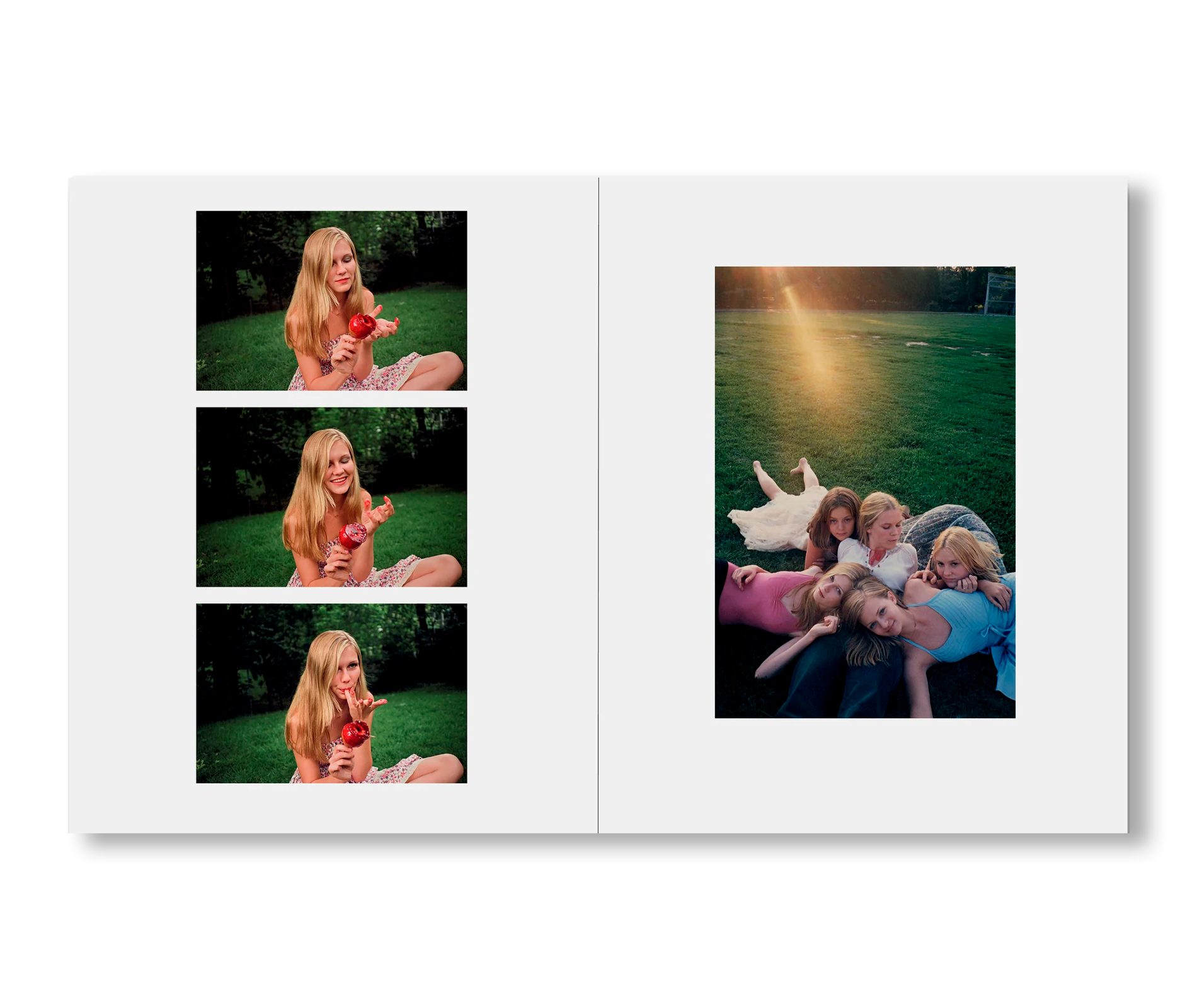Sofia Coppola - THE VIRGIN SUICIDES [NOUVEAU]
