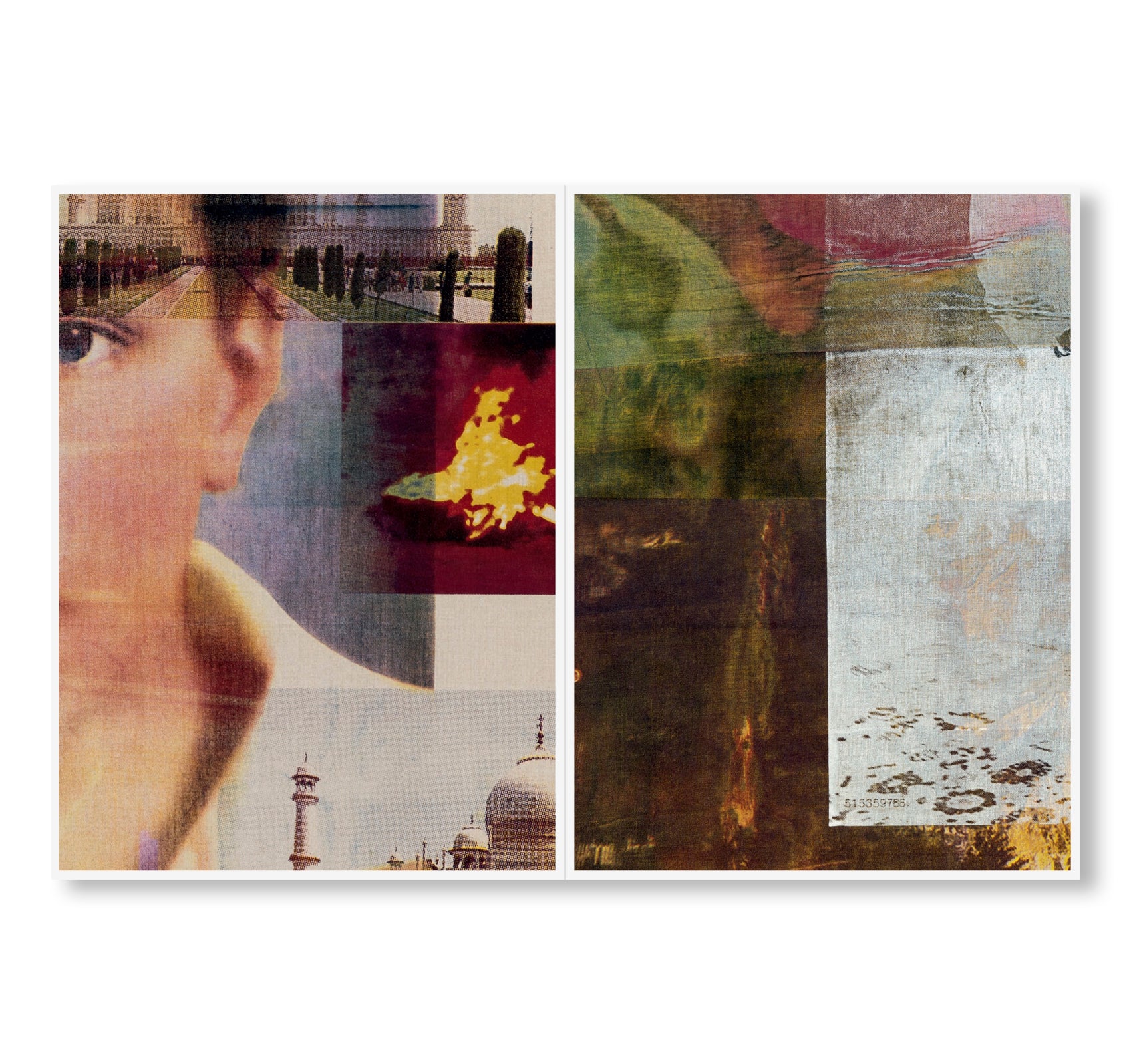 Gus Van Sant - PAINTINGS [BLUE MOON PRESS, 2026]
