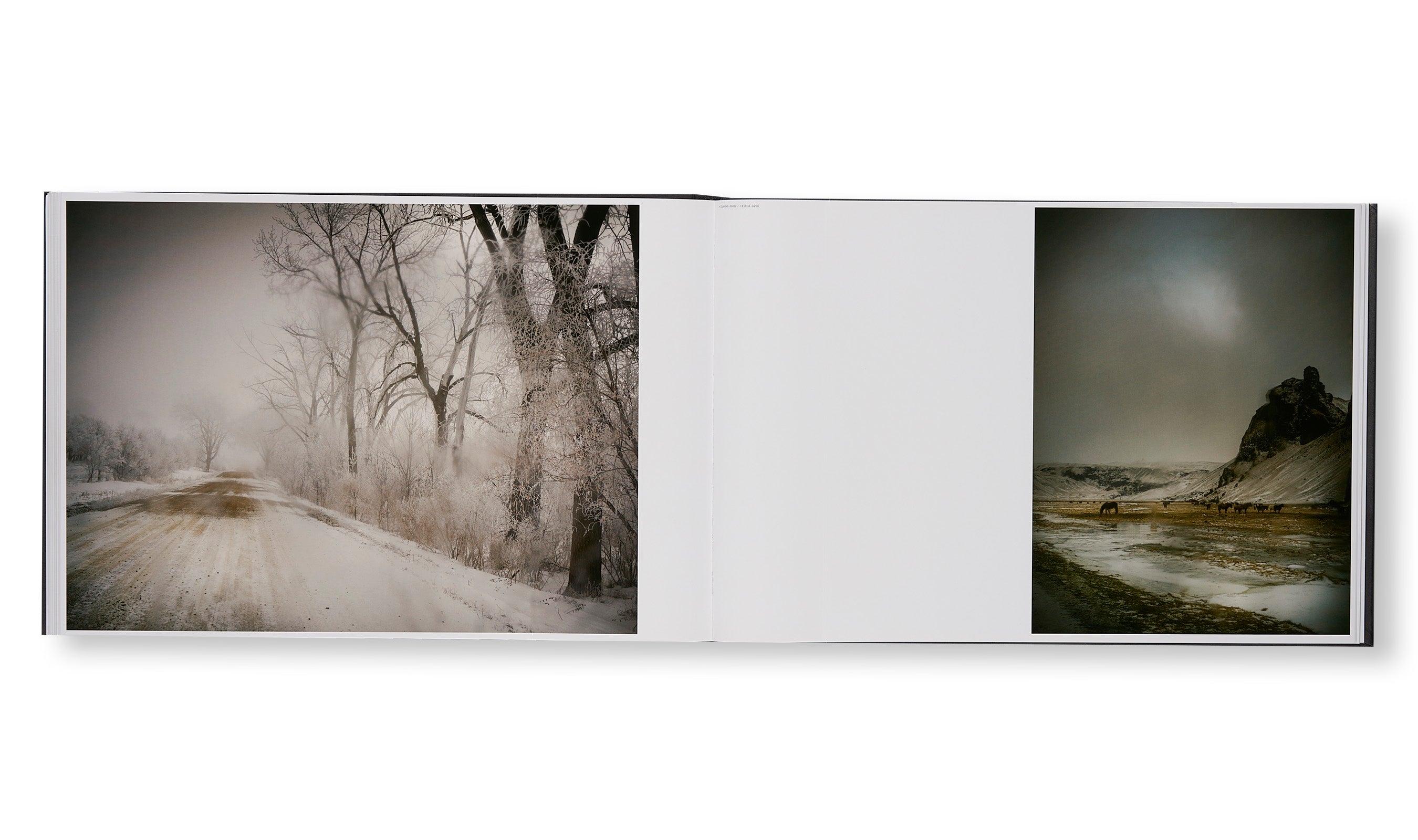 Todd Hido - THE END SENDS ADVANCE WARNING [NEW]