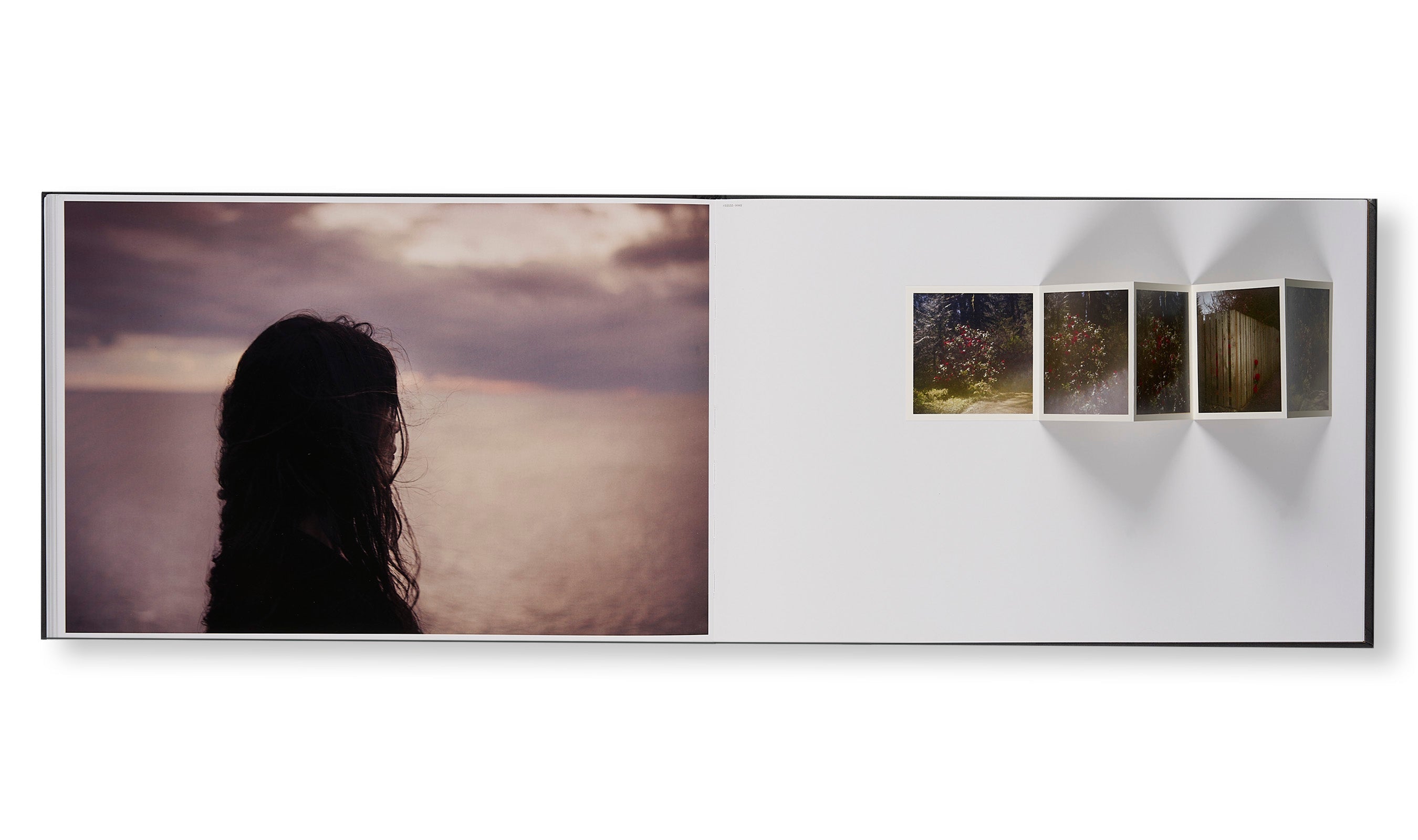 Todd Hido - THE END SENDS ADVANCE WARNING [NEW]