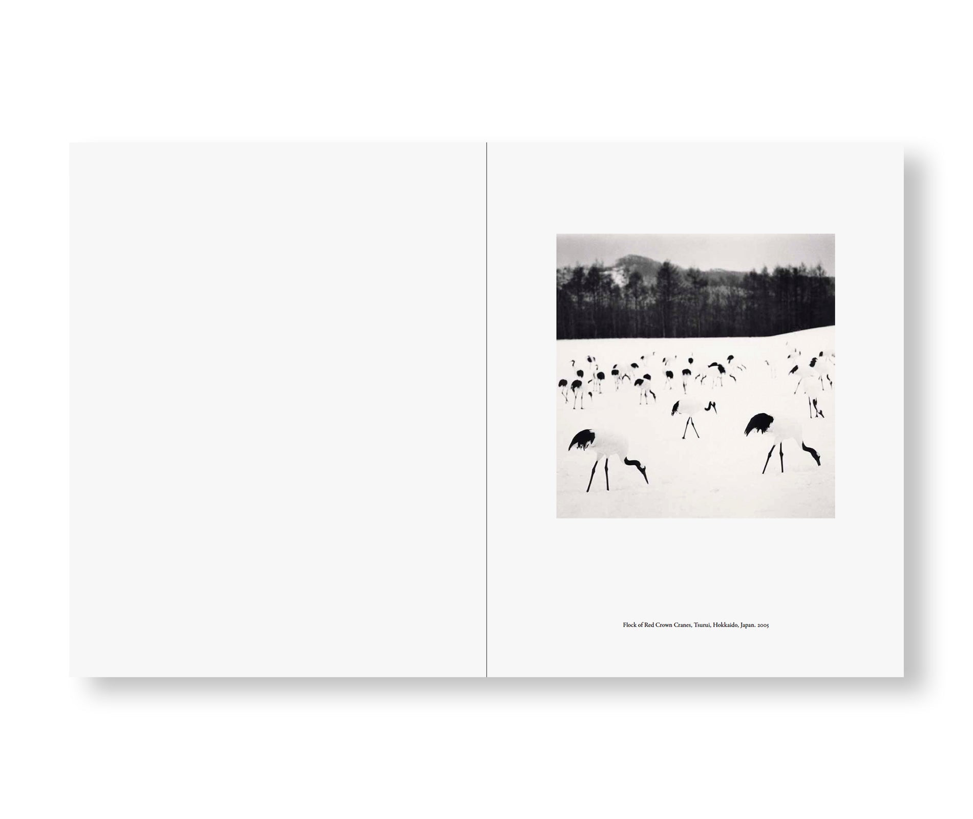 Michael Kenna - JAPAN | A LOVE STORY [NEW］