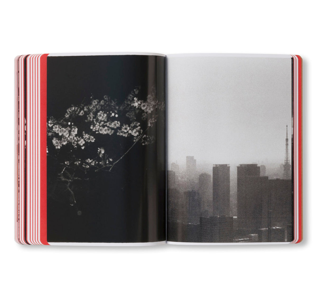 Cécile Poimboeuf-Koizumi - THE ARTIST’S ATLAS: TOKYO