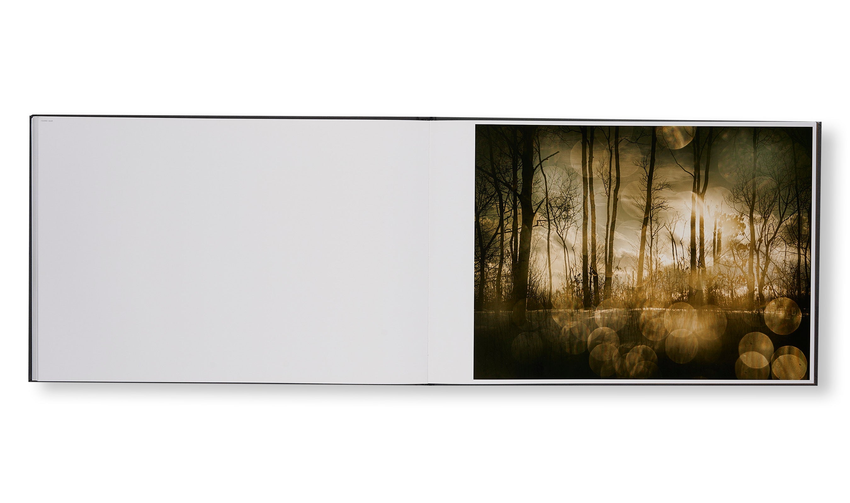 Todd Hido - THE END SENDS ADVANCE WARNING [NEW］