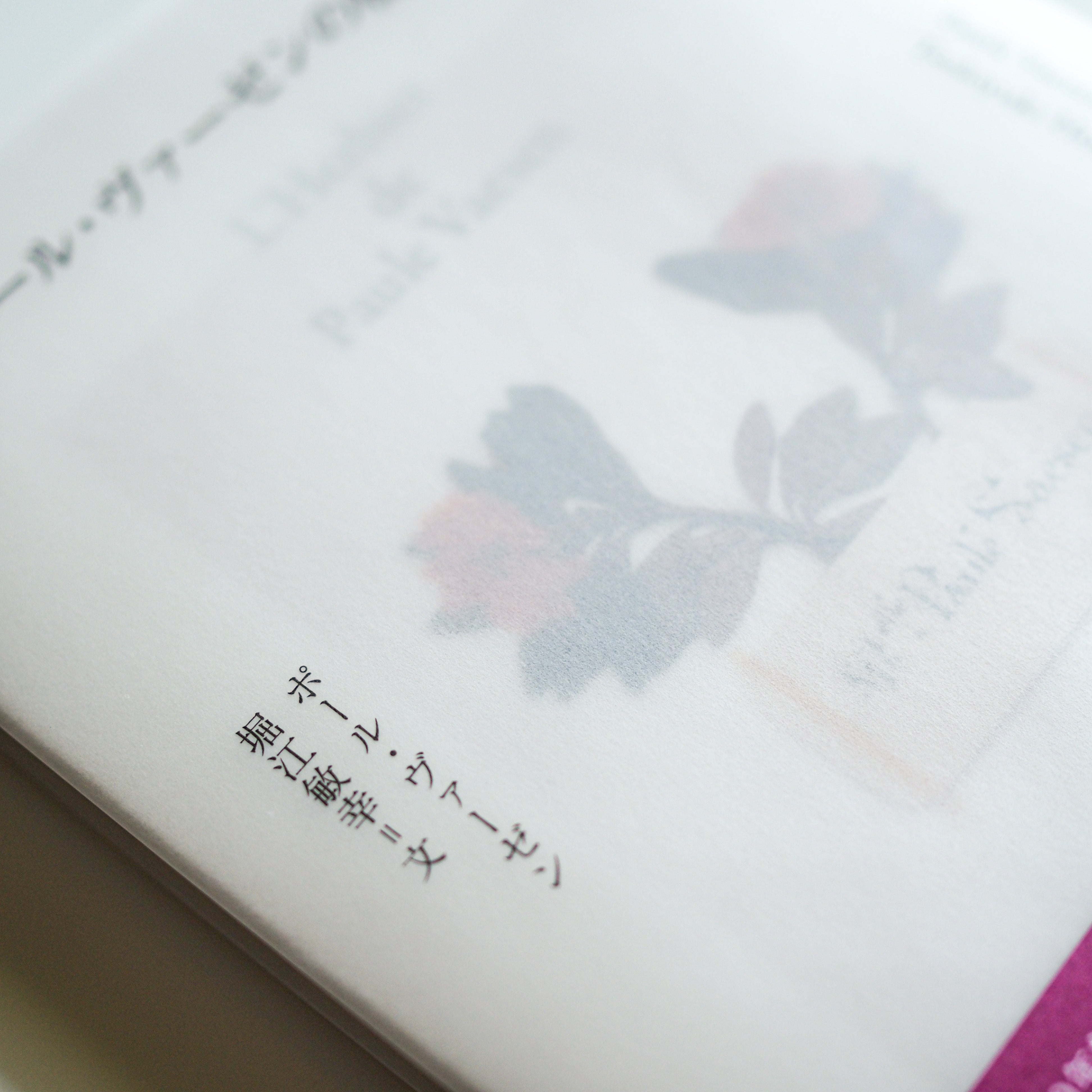 ポール・ヴァーゼン/堀江敏幸・文  -  ポール・ヴァーゼンの植物標本[NEW］