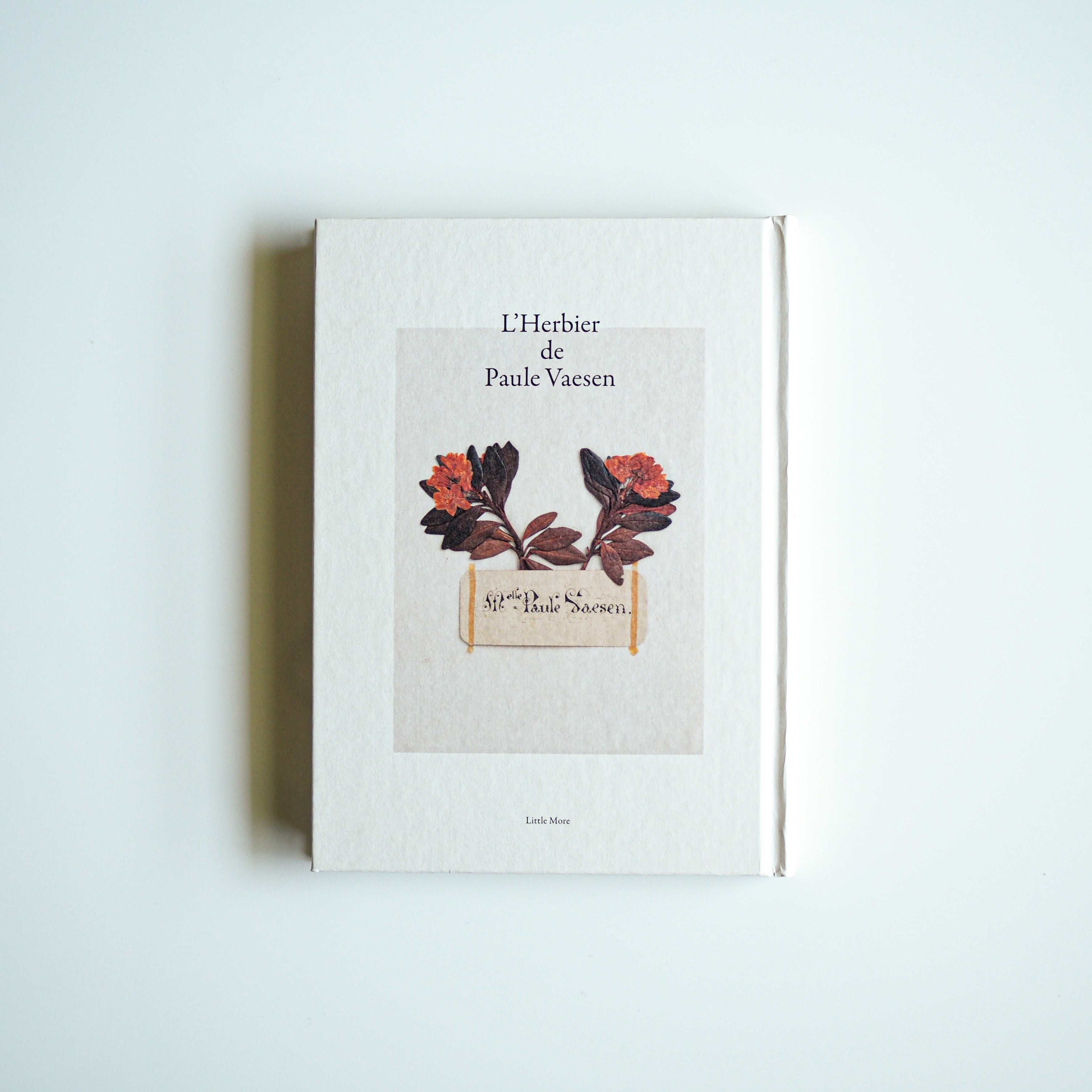 Paul Vathen/Texte de Toshiyuki Horie - Spécimens de plantes de Paul Vathen [NOUVEAU]