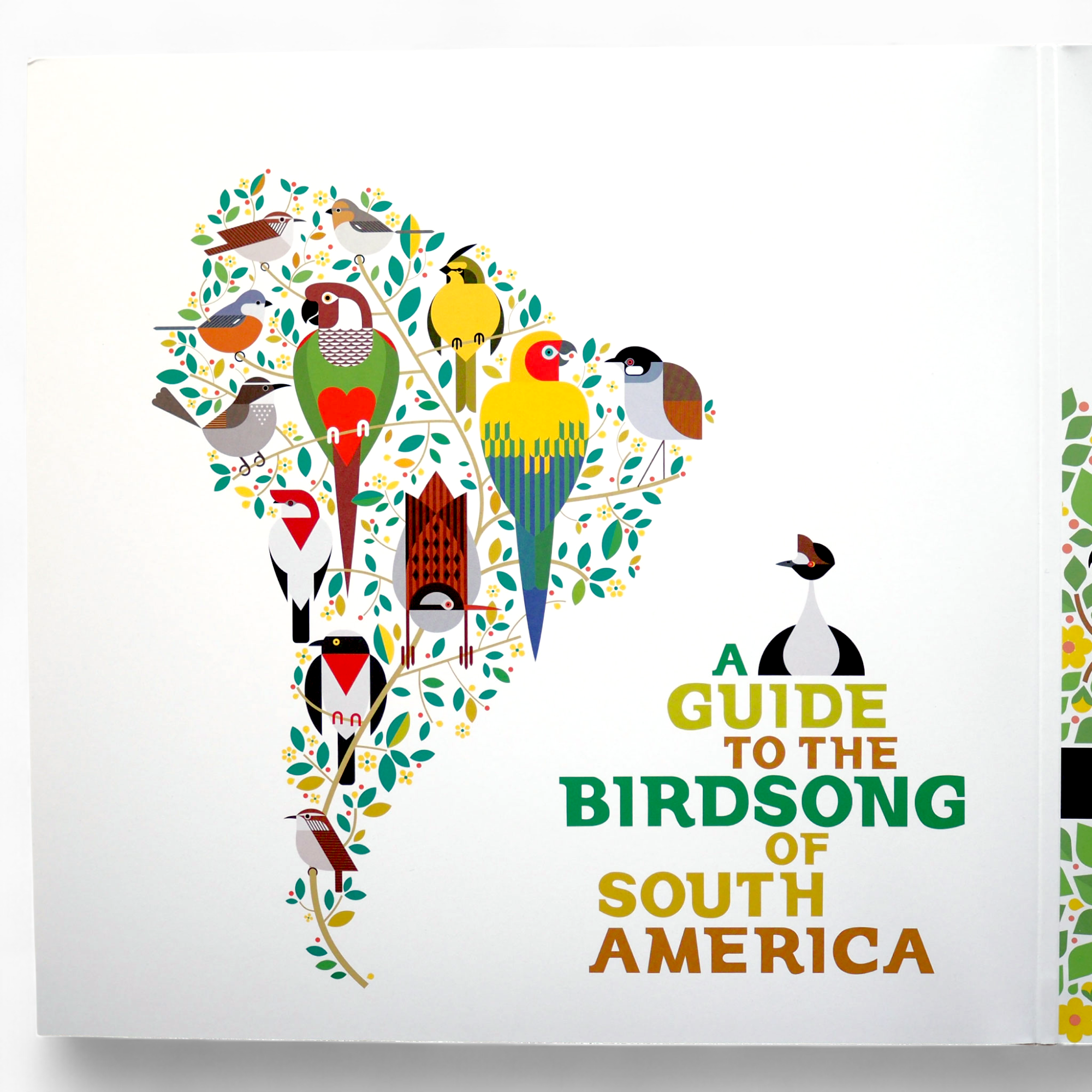 A GUIDE TO THE BIRDSONG COLLECTION: VOL I & II | SHIKA SHIKA (2LP) A GUIDE TO THE BIRDSONG COLLECTION: VOL I & II | SHIKA SHIKA (2LP)