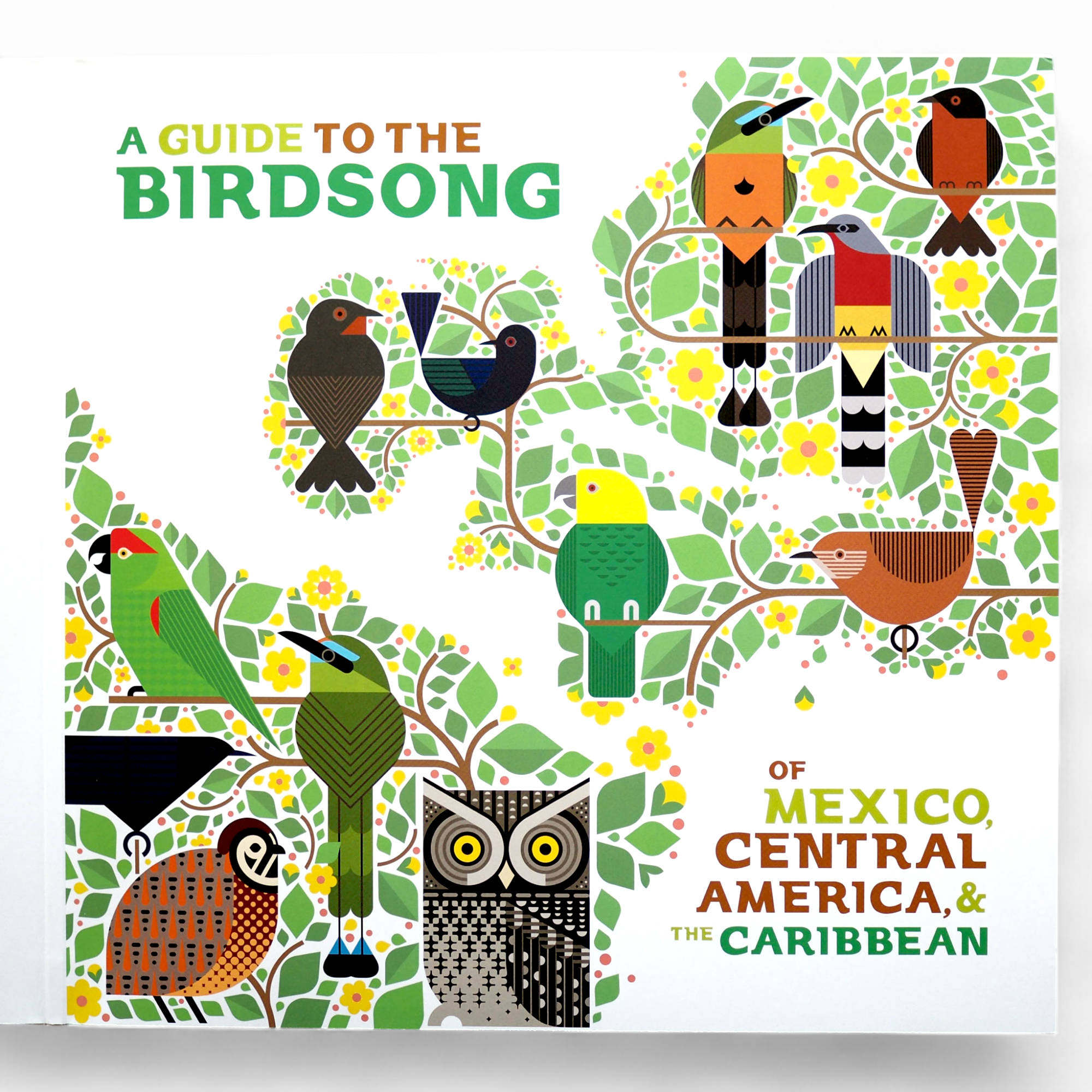 A GUIDE TO THE BIRDSONG COLLECTION: VOL I & II (LP) [NEW]