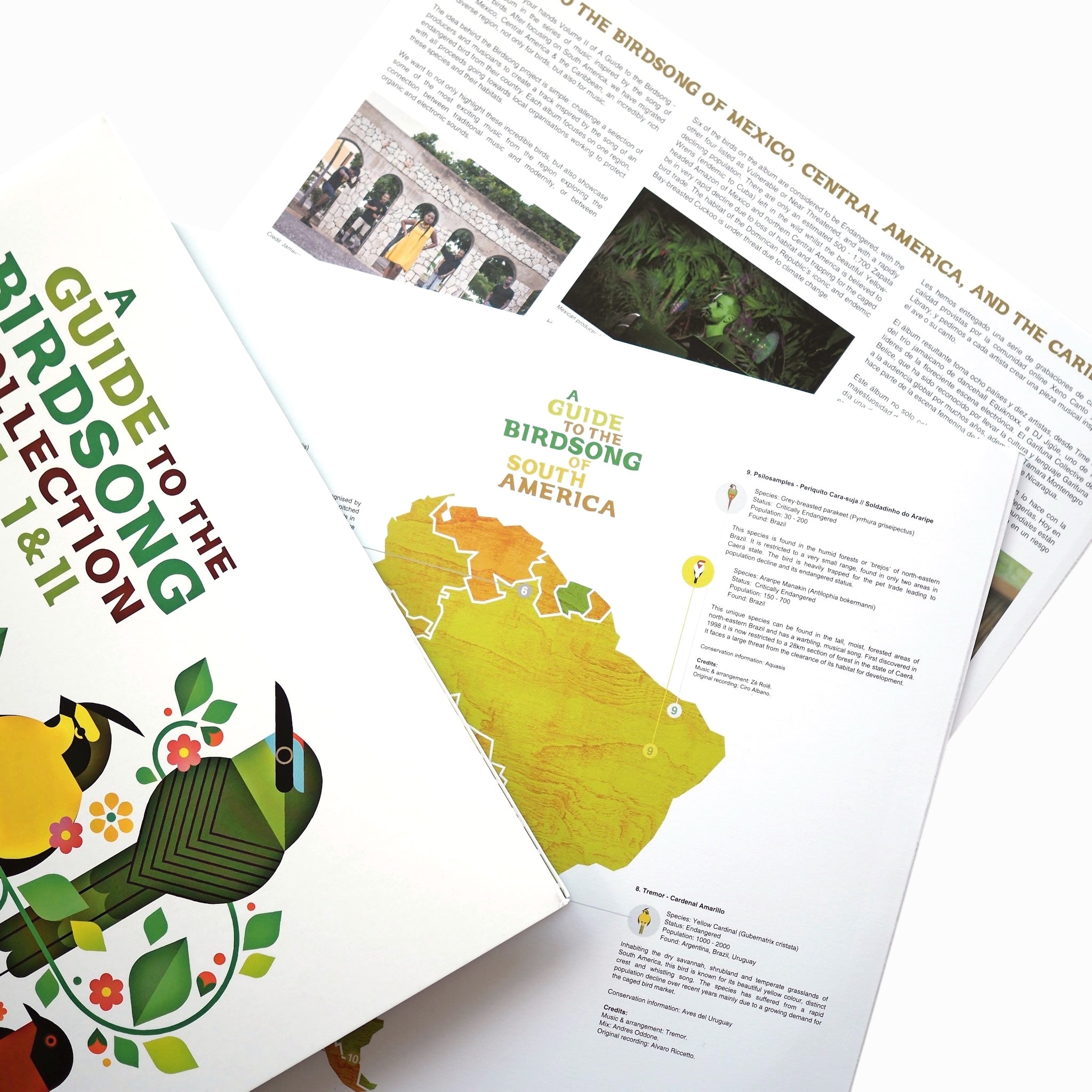 A GUIDE TO THE BIRDSONG COLLECTION: VOL I & II (LP) [NEW]