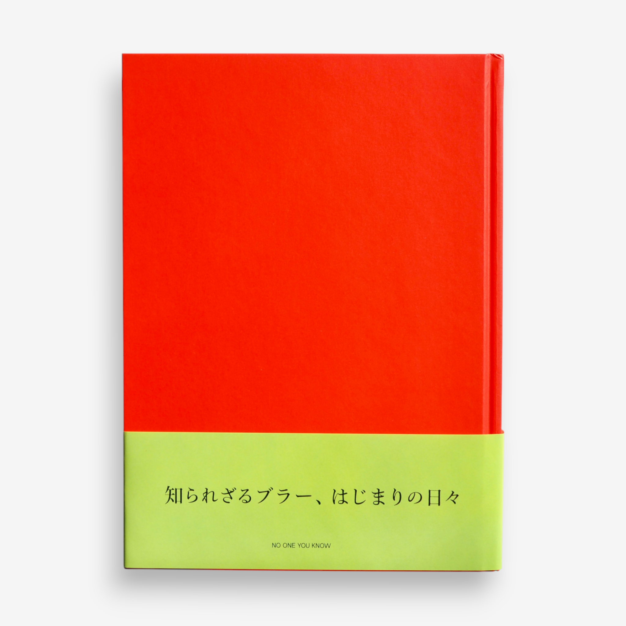 DAVE ROWNTREE - NO ONE YOU KNOW: DAVE ROWNTREE'S EARLY BLUR PHOTOS [NEW]