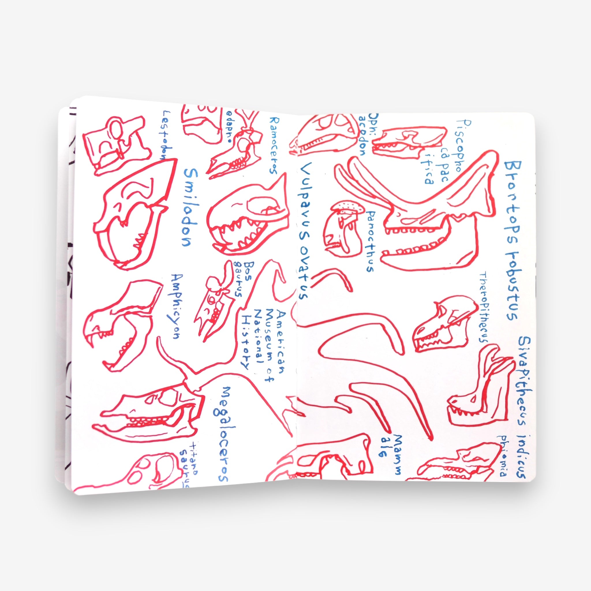 タケウマ (takeuma) - Travel Sketch  [NEW]