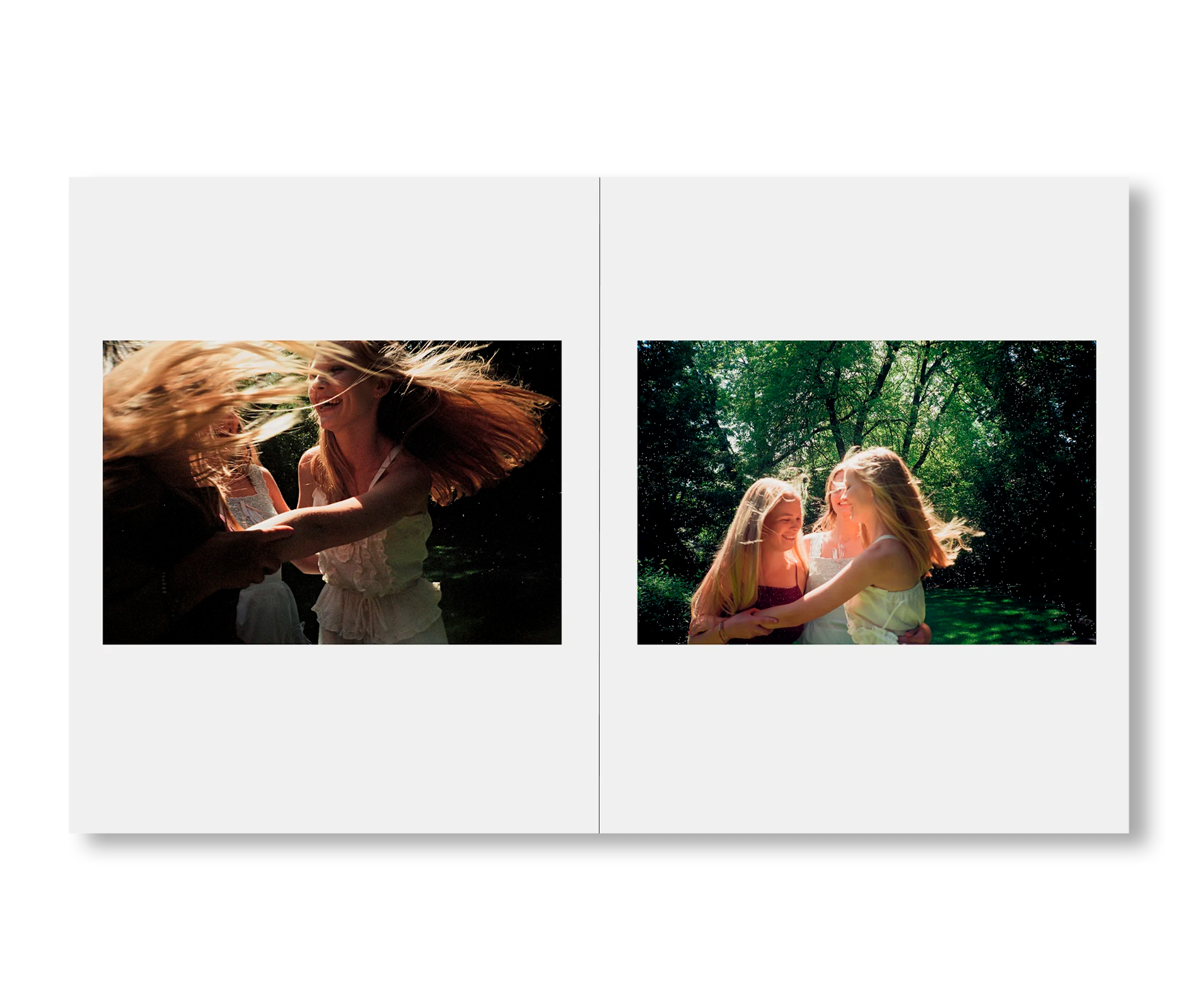 Sofia Coppola - THE VIRGIN SUICIDES [NOUVEAU]