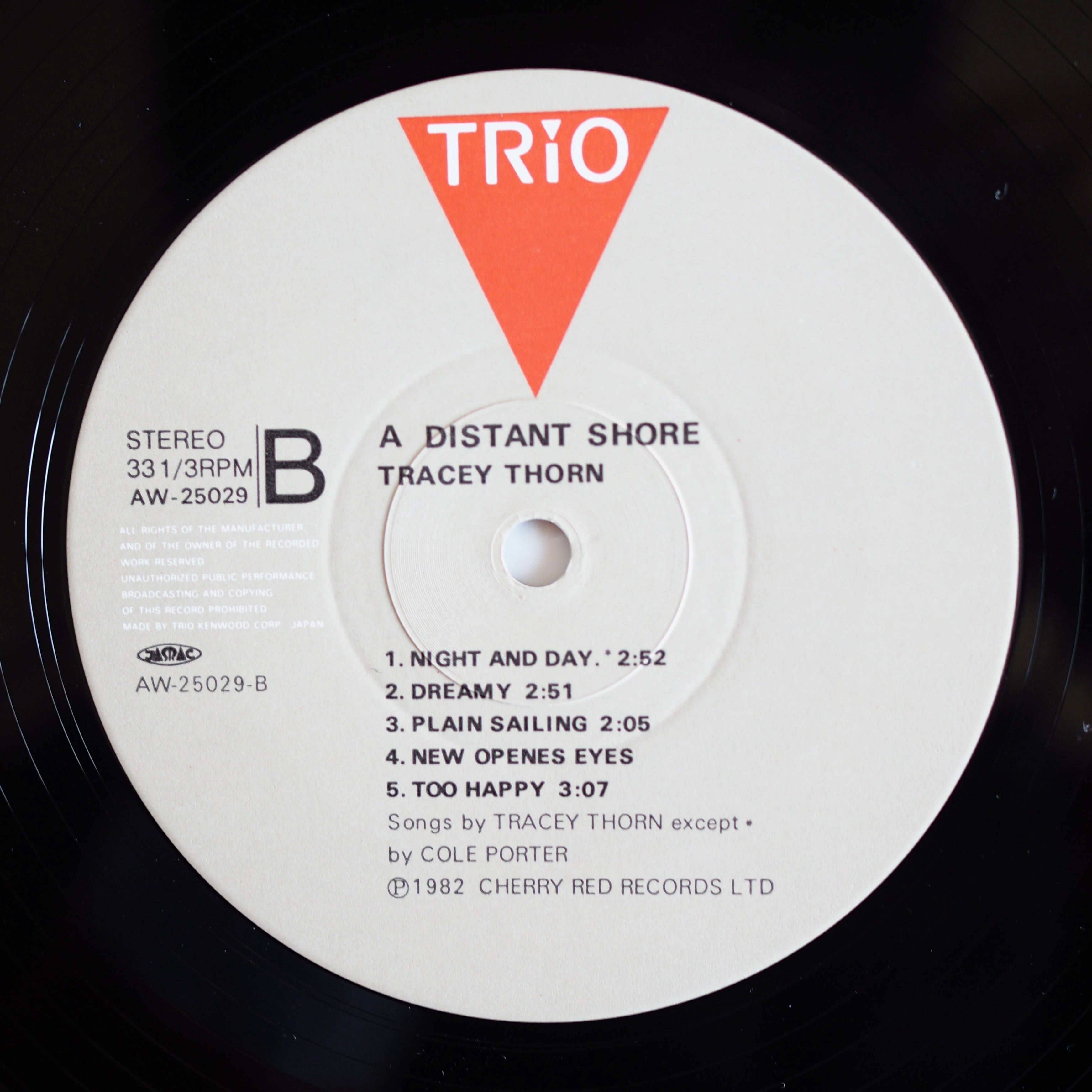 Tracey Thorn トレイシー・ソーン - A Distant Shore 遠い渚 ［used］