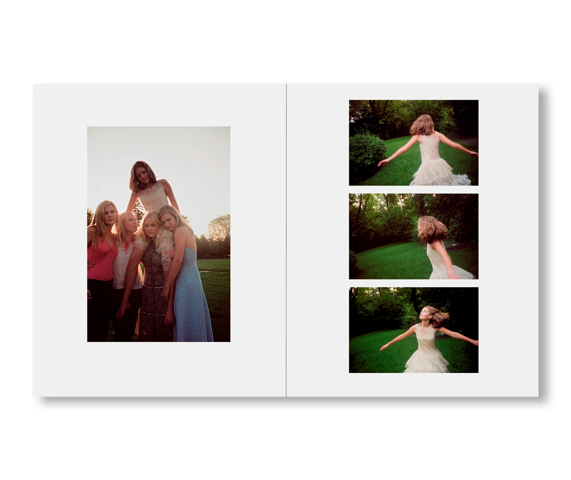 Sofia Coppola - THE VIRGIN SUICIDES [NOUVEAU]