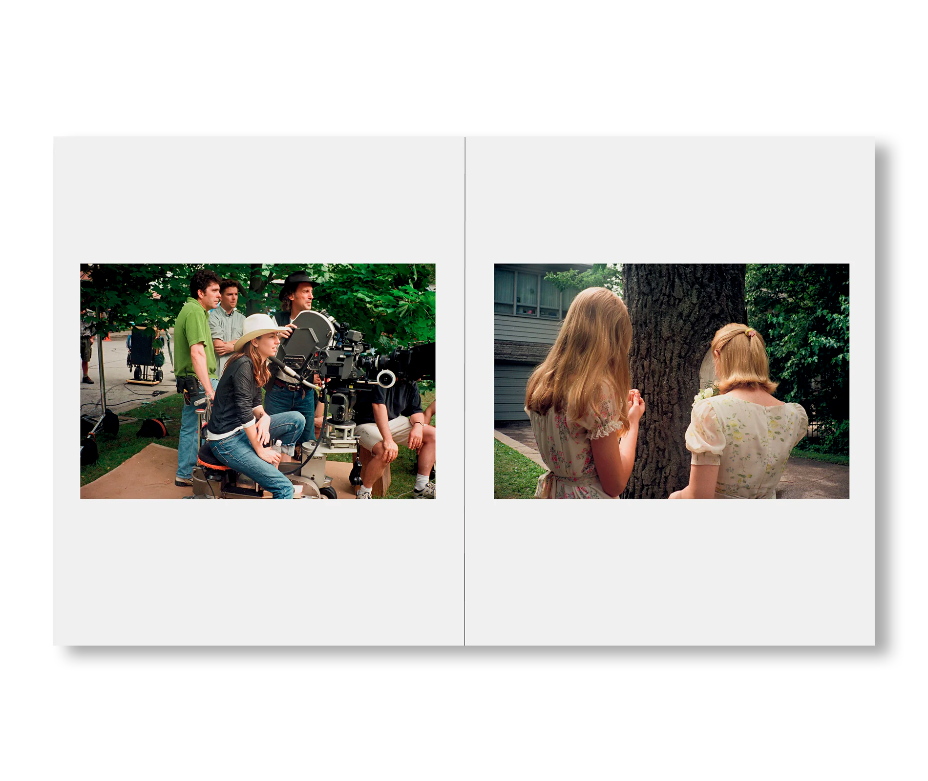 Sofia Coppola - THE VIRGIN SUICIDES [NOUVEAU]