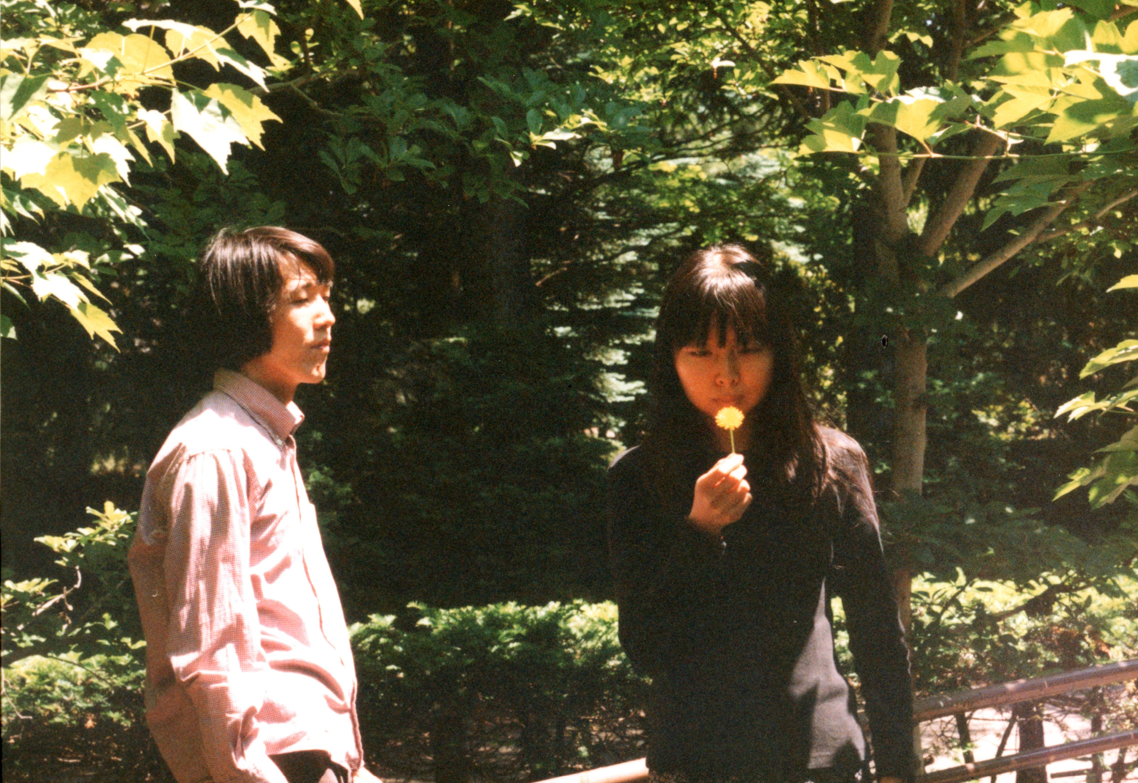 800 cherries - romantico (2023 reissue)［LP / 2nd press / NEW］