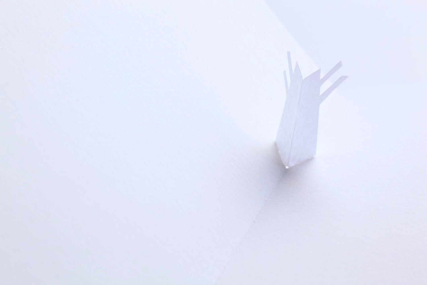 Katsumi Komagata - Little Tree [NEW]