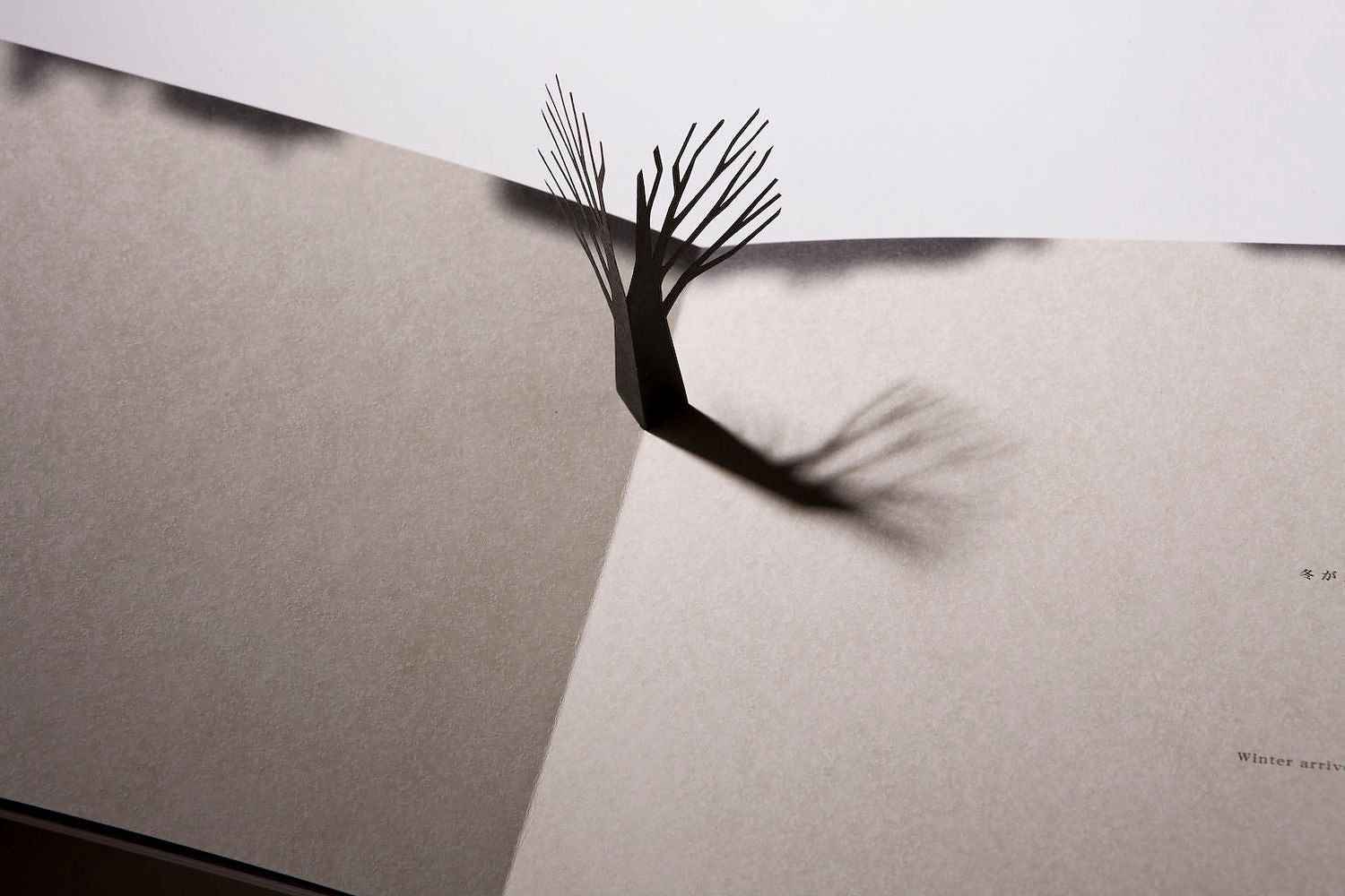 Katsumi Komagata - Little Tree [NEW]