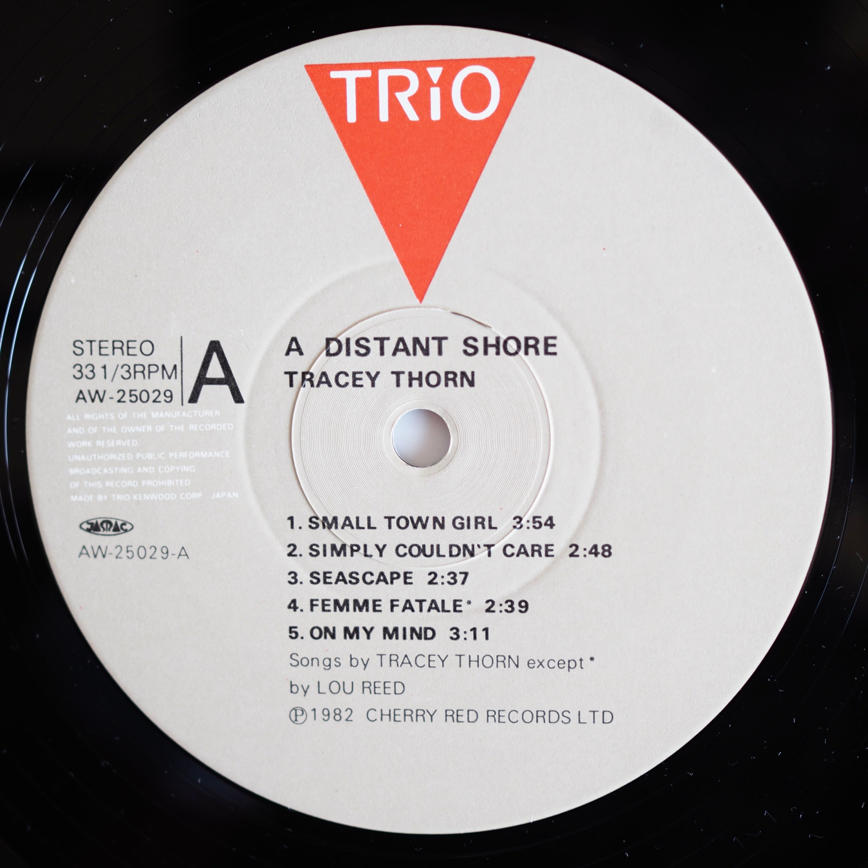 Tracey Thorn トレイシー・ソーン - A Distant Shore 遠い渚 ［used］