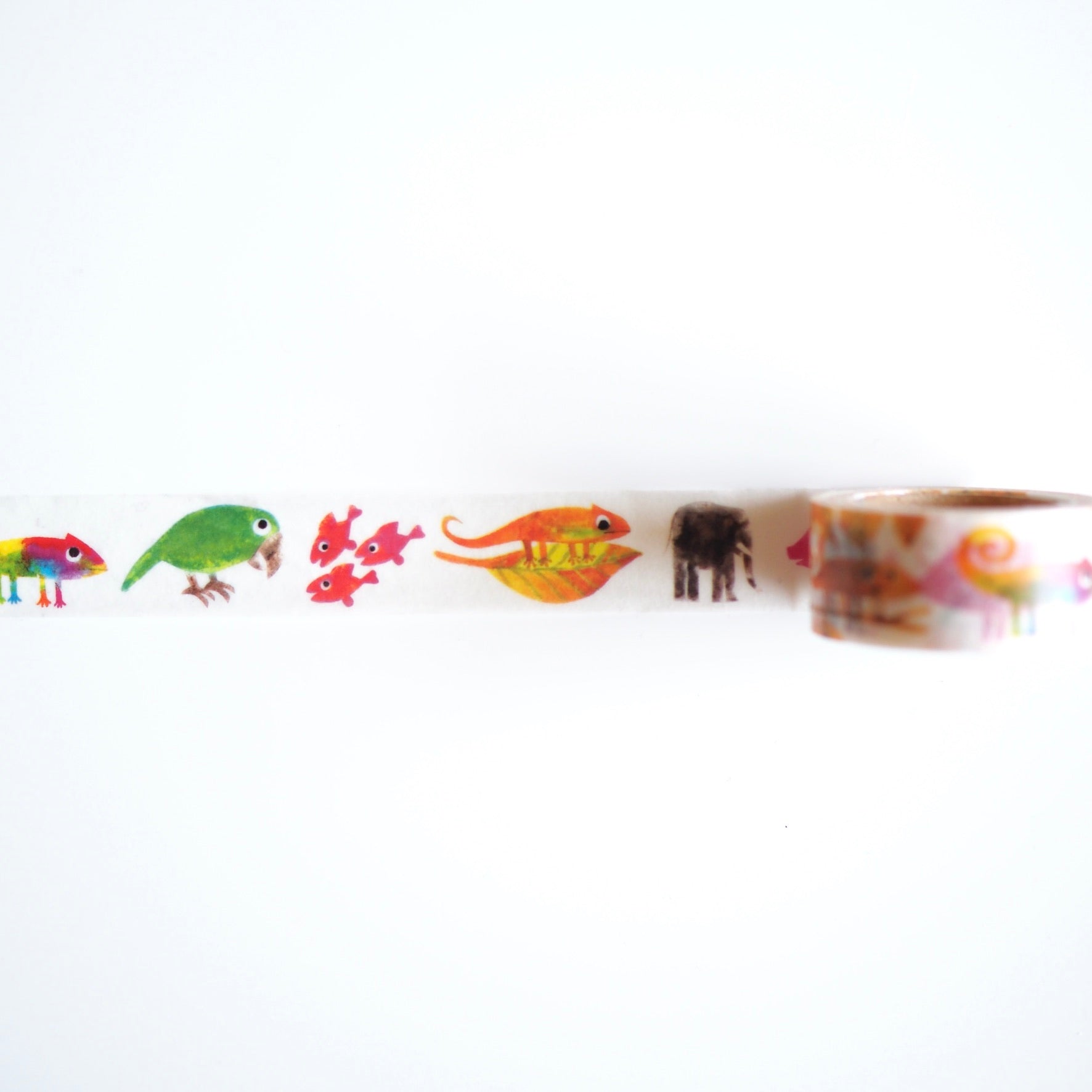 Leo Lionni Masking Tape / A Color of His Own [NEW]