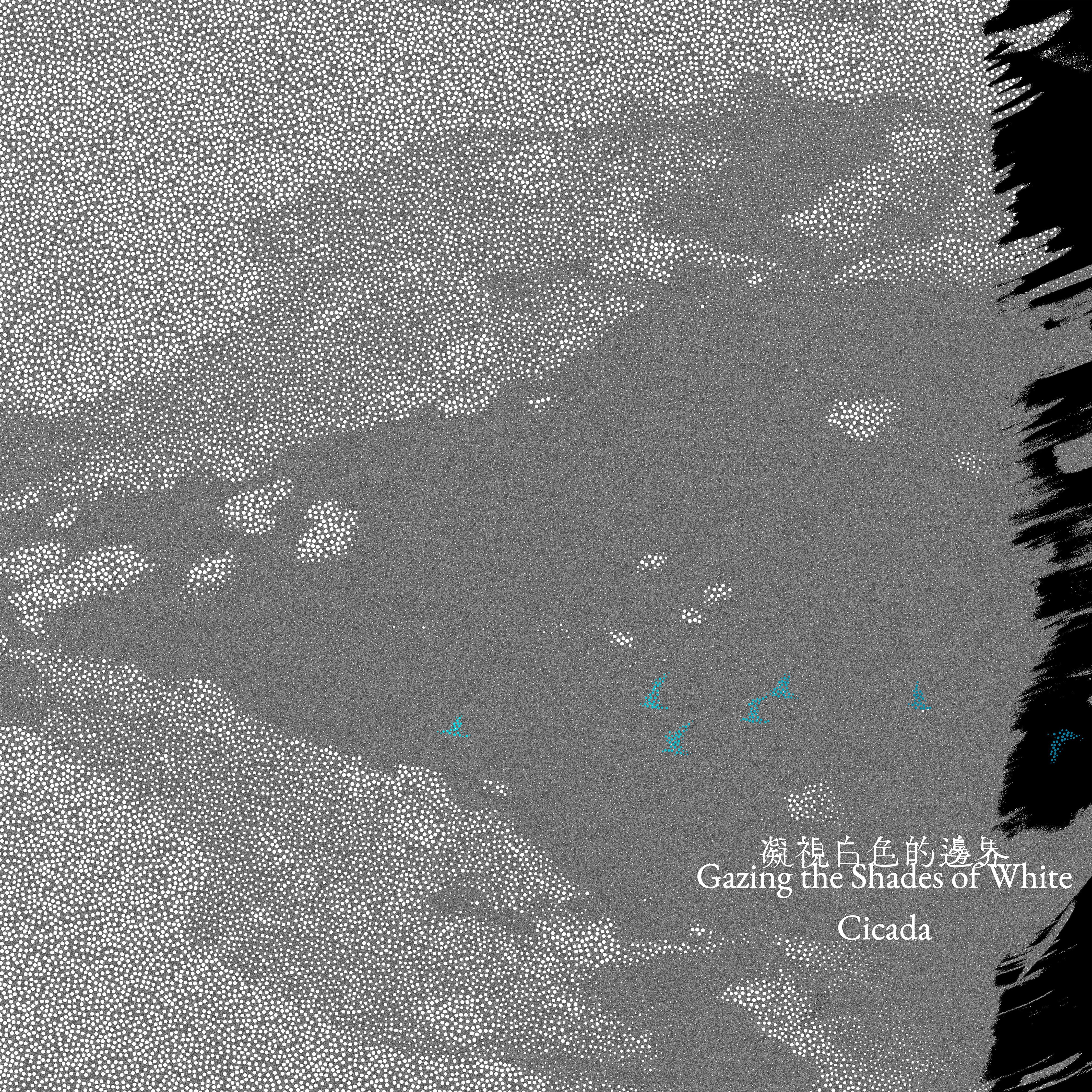 Cicada - Gazing the Shades of White (LP) [NEW | PREORDER 2026.8.12 OUT]