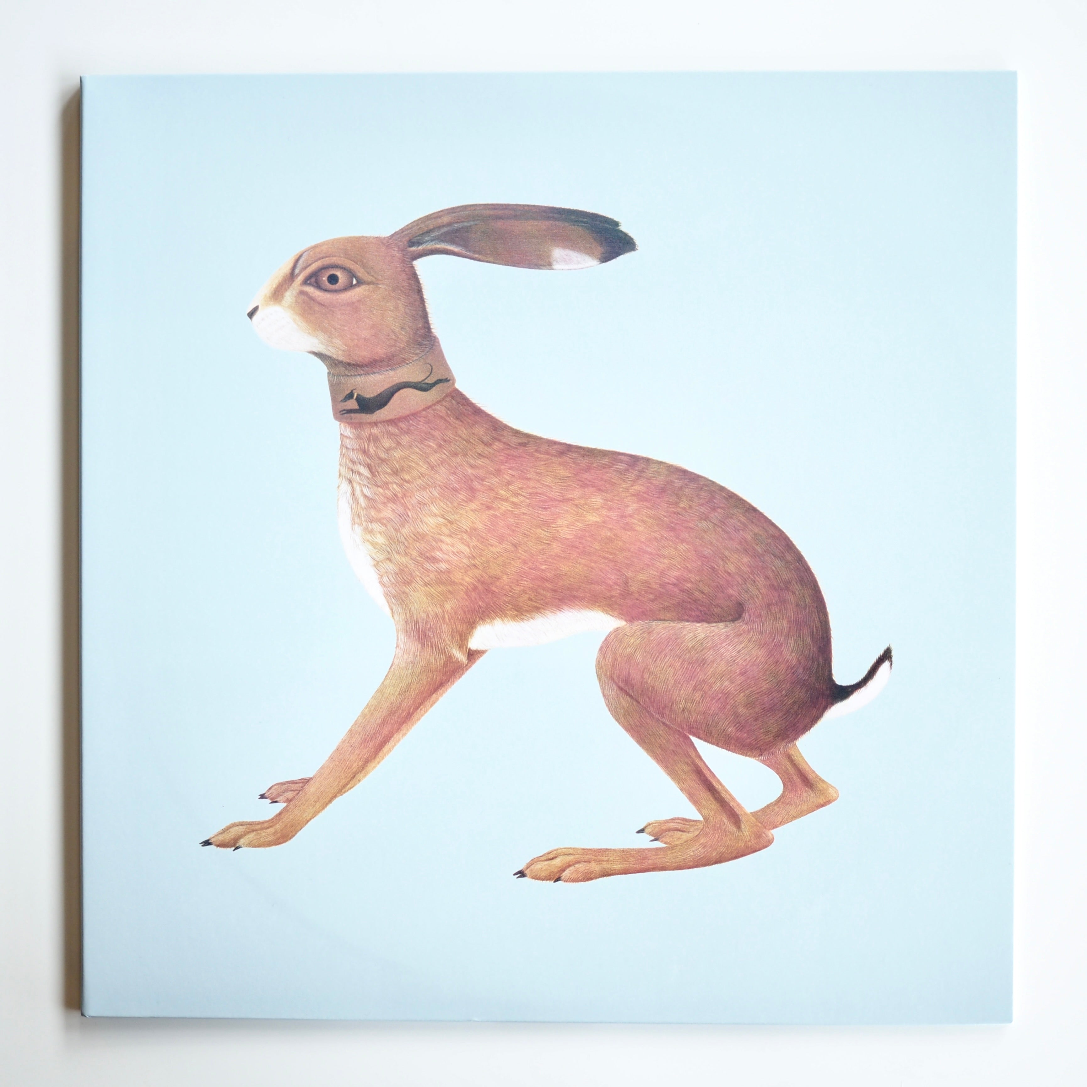 Vashti Bunyan - Lookaftering (Expanded) | 2LP(US), 2025 reissue [NEW]