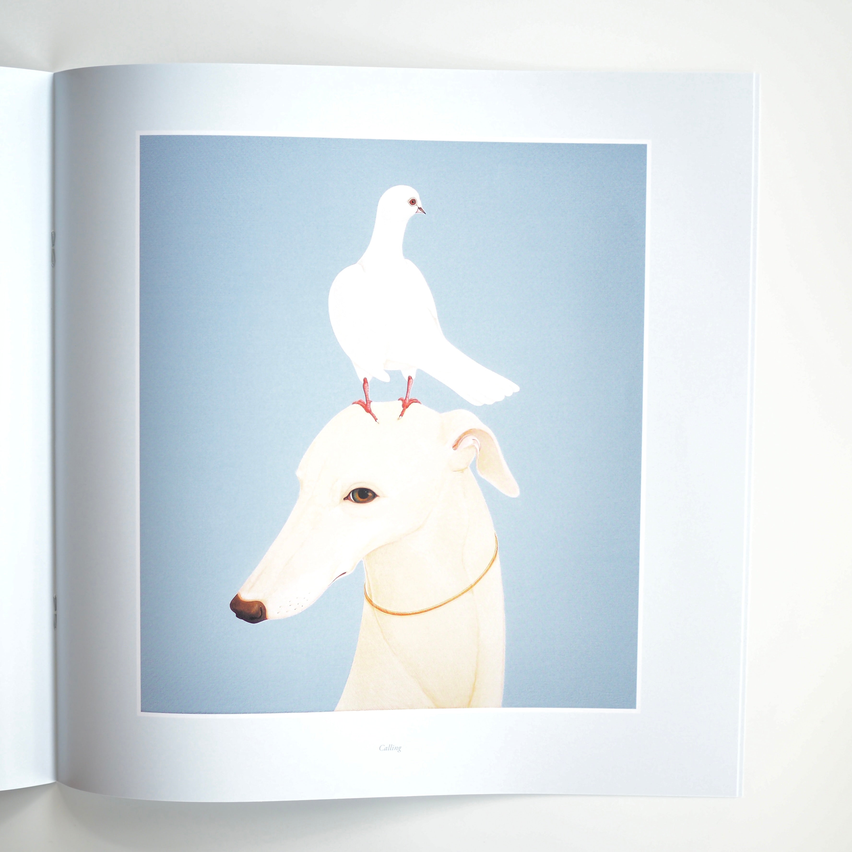 ヴァシュティ・バニア　Lookaftering Vashti Bunyan / Lookaftering - Expanded Edition - 雨と休日