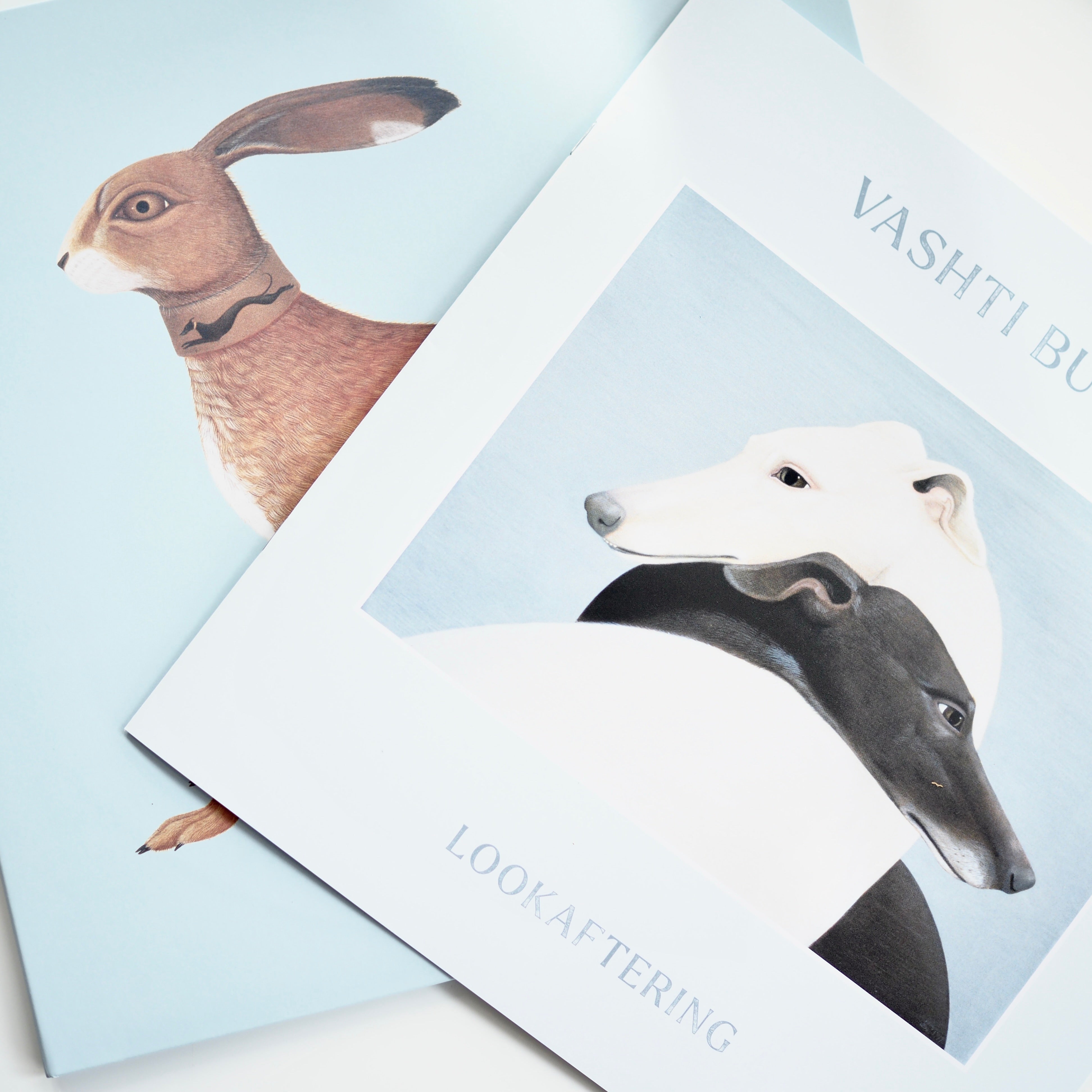 Vashti Bunyan - Lookaftering (Expanded) | 2LP(US), 2025 reissue [NEW]