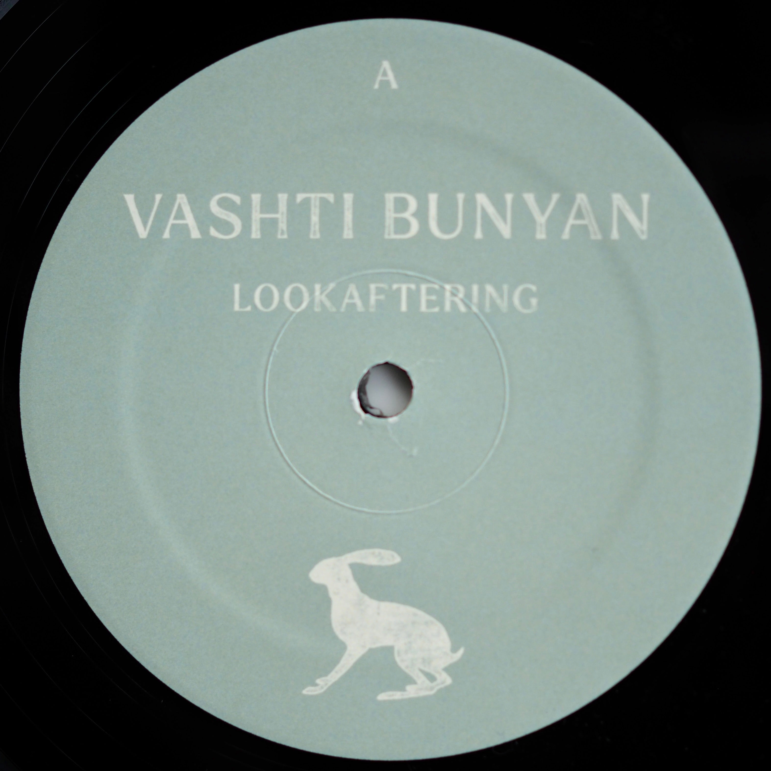 ヴァシュティ・バニア　Lookaftering Vashti Bunyan - Lookaftering