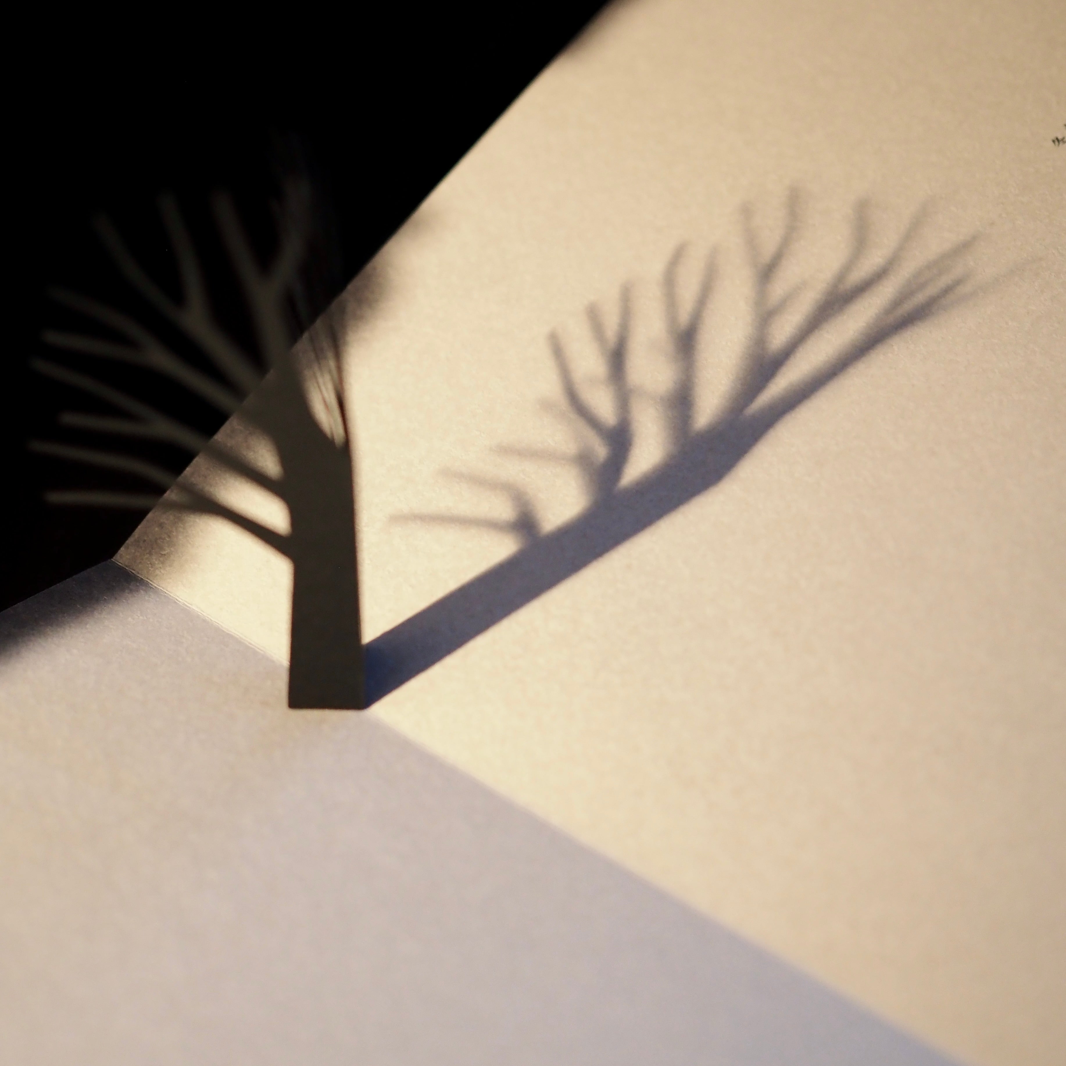 Katsumi Komagata - Little Tree [NEW]